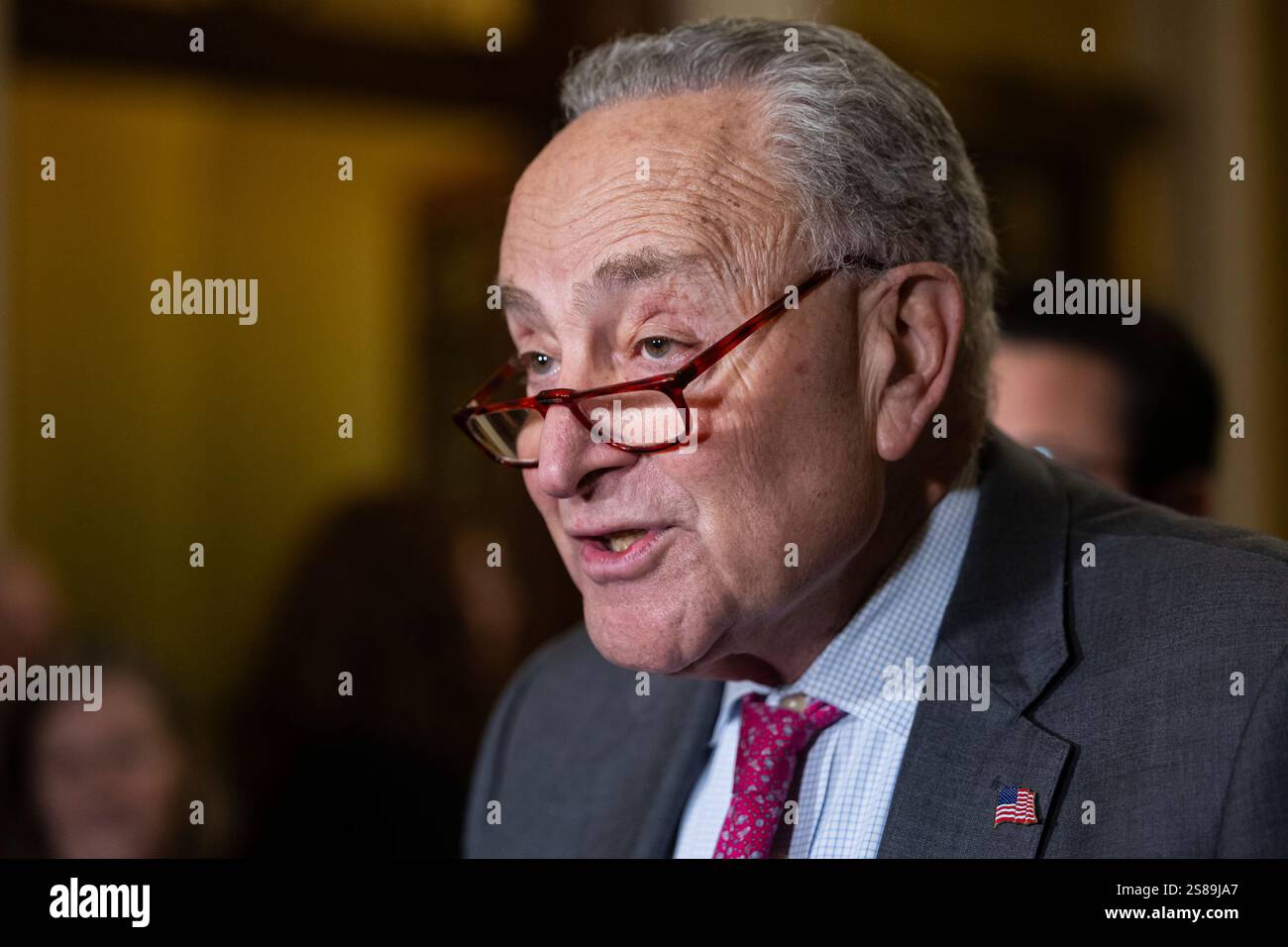 Senate Minority Leader Chuck Schumer (D-N.Y.) speaks during a press ...