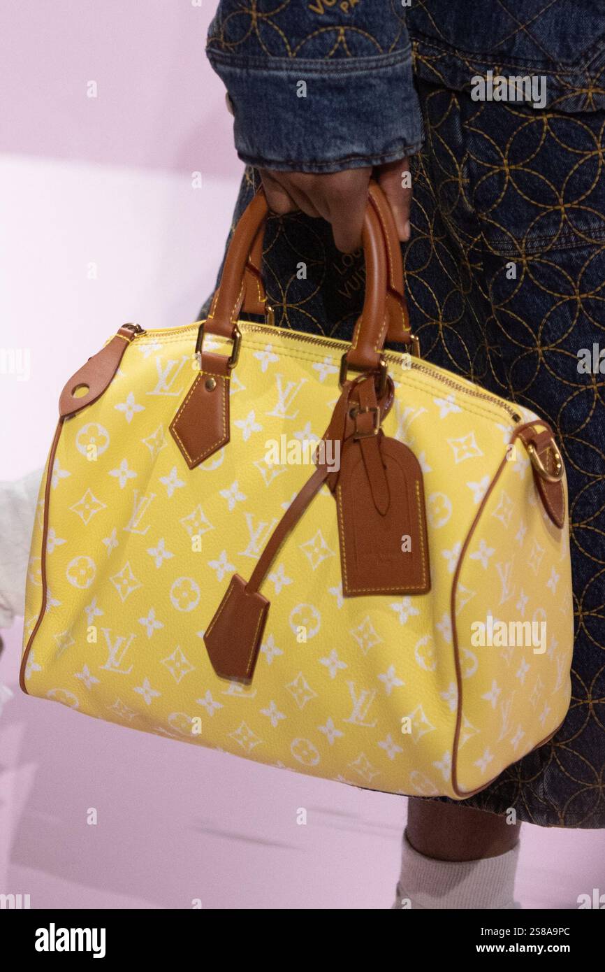 A model walks the runway during the Louis Vuitton Menswear FallWinter