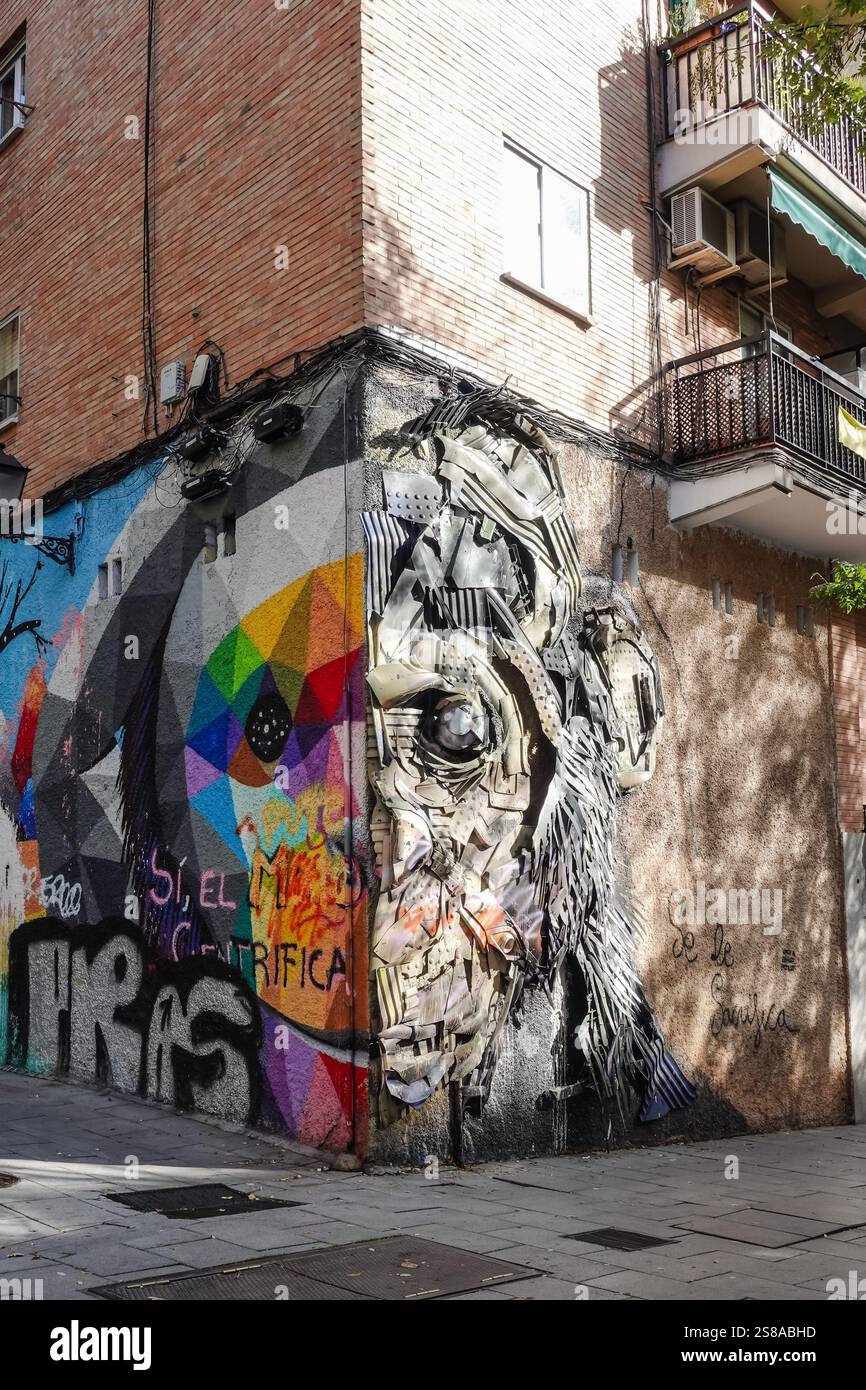 an-outdoor-mural-by-spanish-artist-okuda-and-portuguese-artist-bordalo