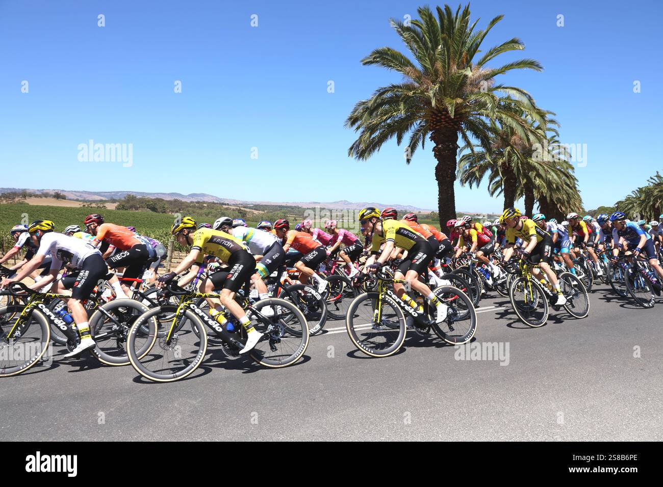Barossa Valley Australia 22/01/2025. Stage 2 Tour Down Under cycling
