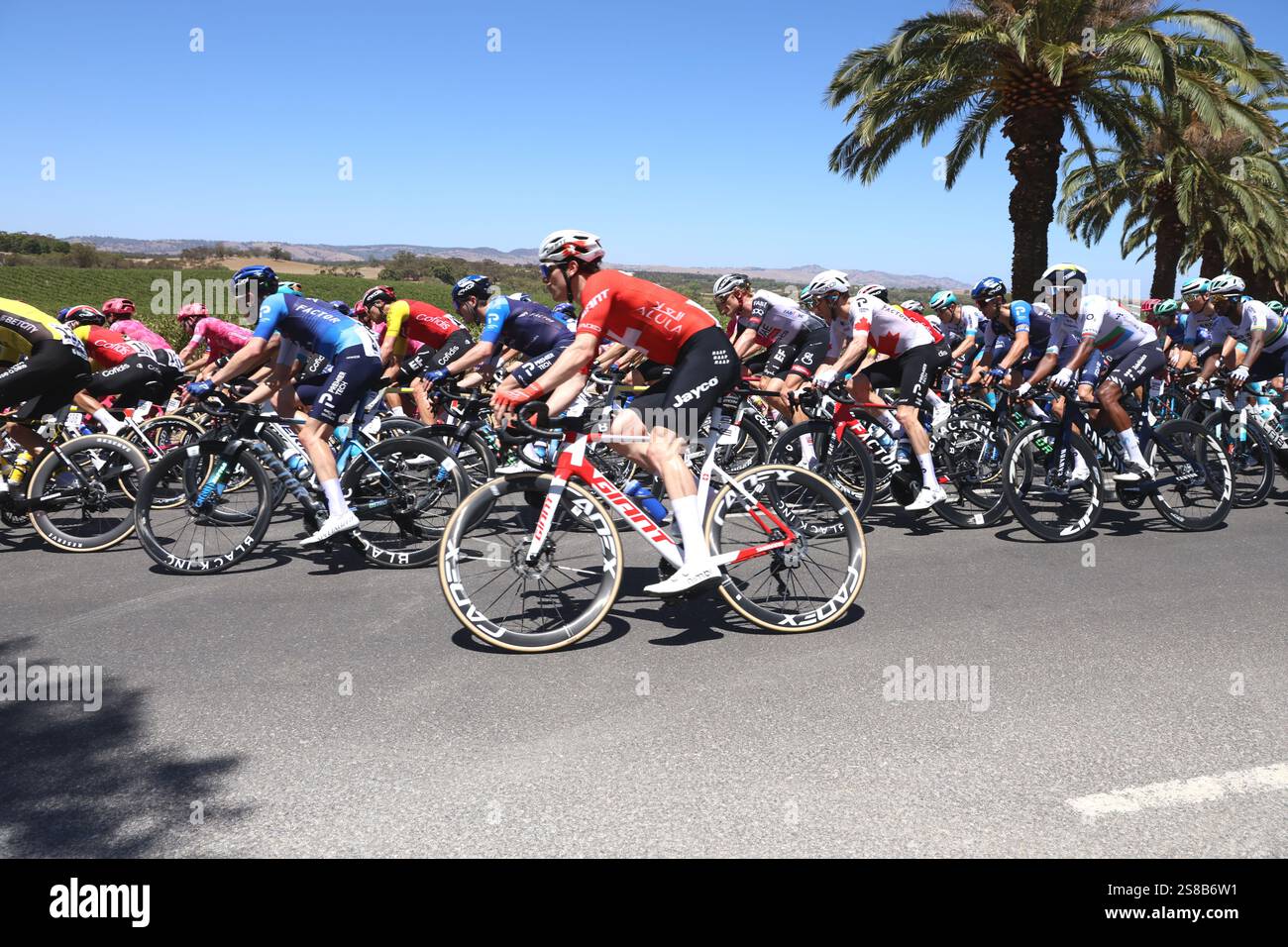 Barossa Valley Australia 22/01/2025. Stage 2 Tour Down Under cycling