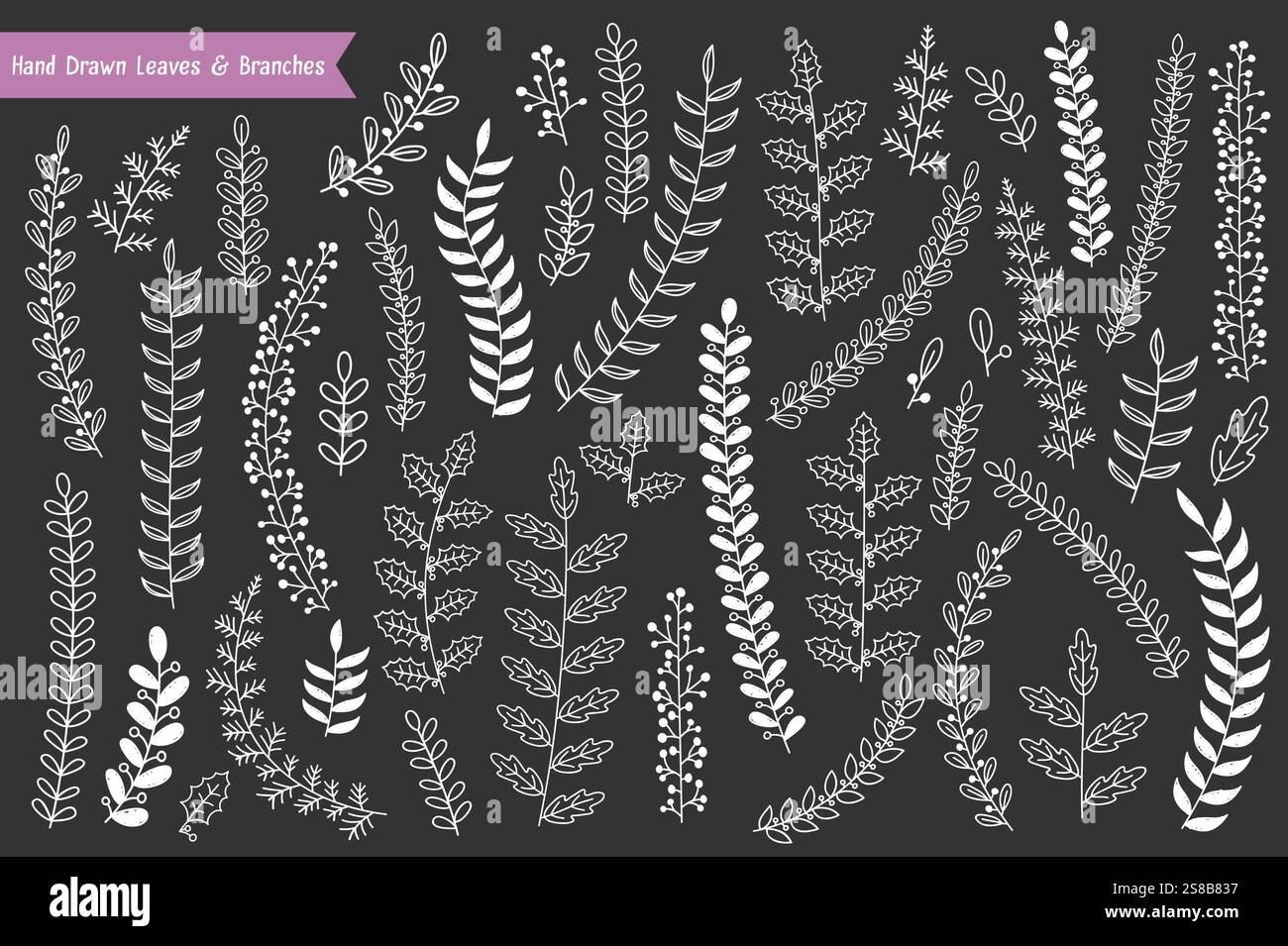 Collection of hand drawn leaves and branches on dark background, vector ...