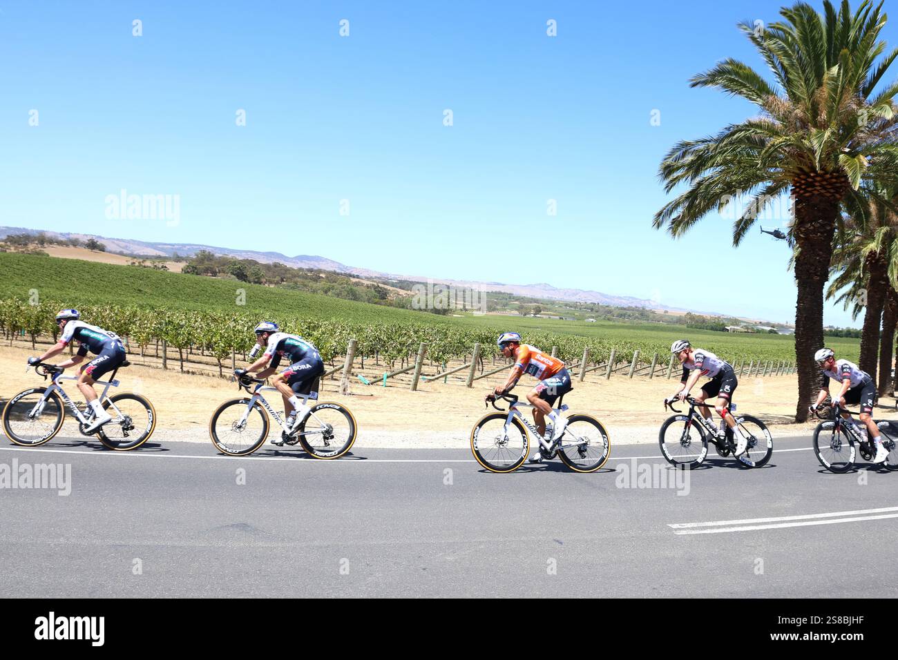 Barossa Valley Australia 22/01/2025. Stage 2 Tour Down Under cycling