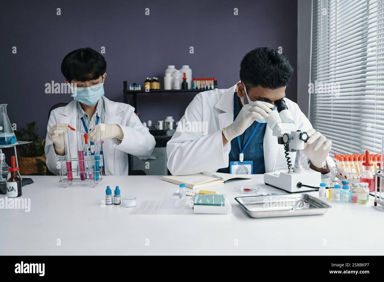 Conducting Scientific Experiments in Laboratory Setting Stock Photo - Alamy