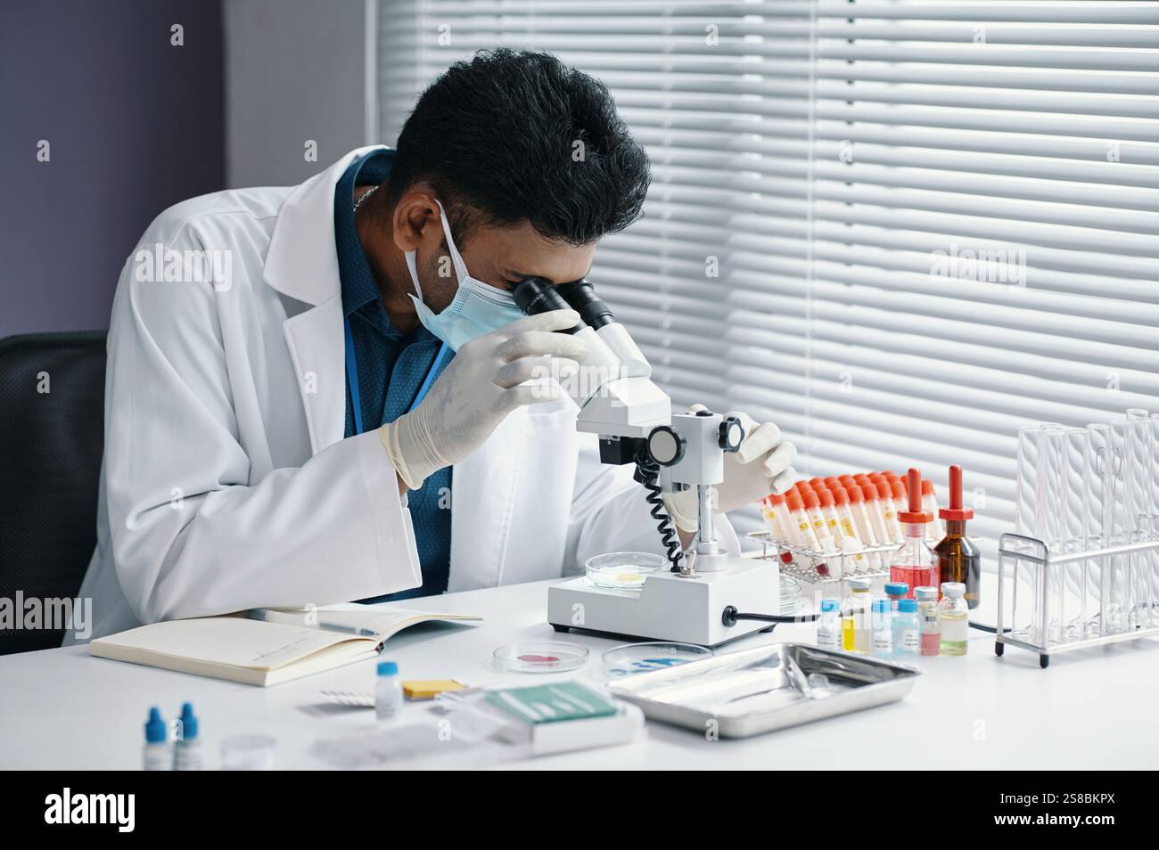 Scientist Analyzing Samples Under Microscope in Laboratory Stock Photo
