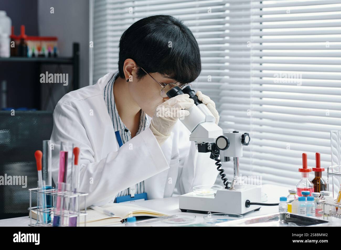 Researching Scientist Examining Samples in Laboratory Stock Photo