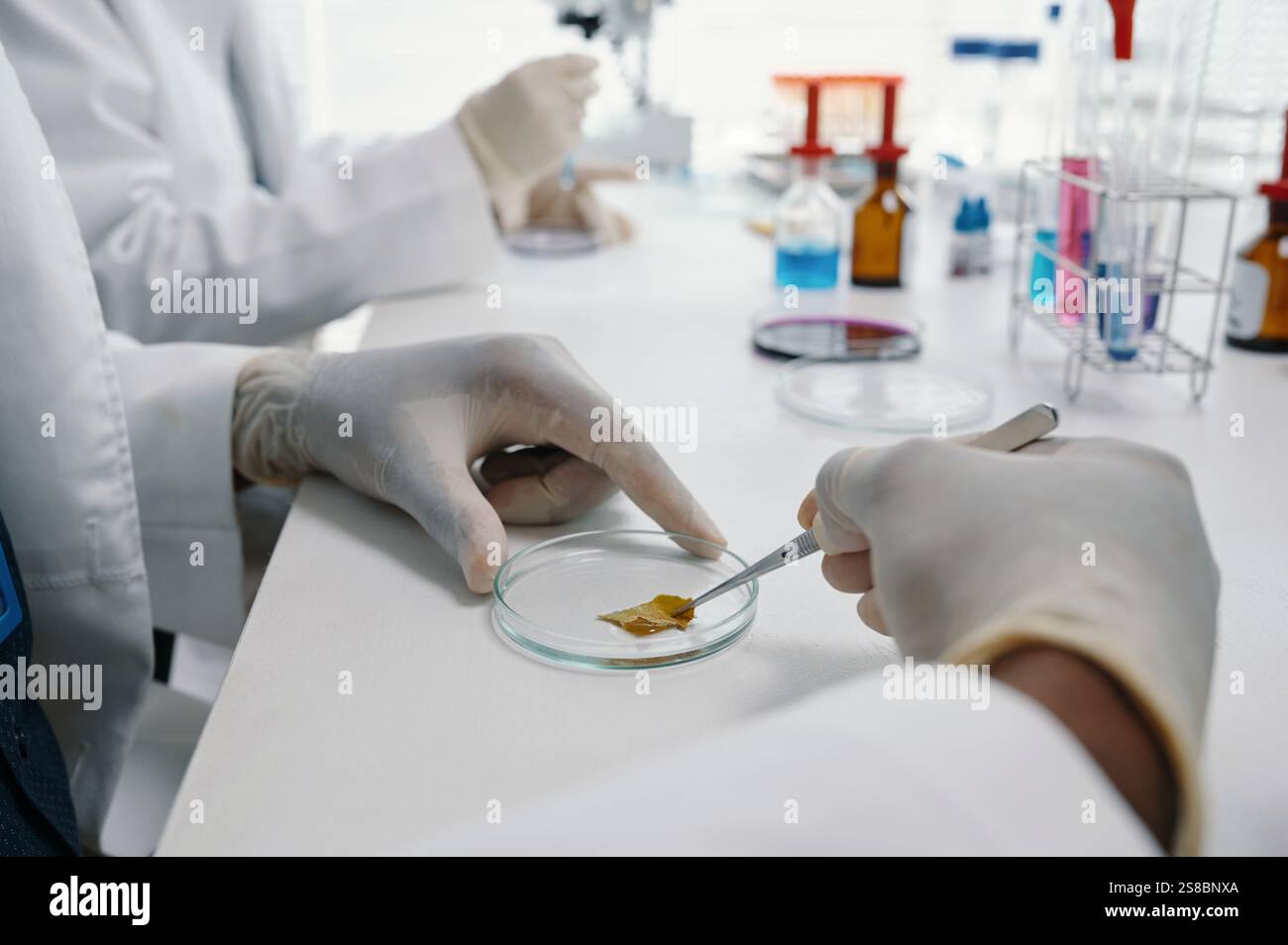 Analyzing Samples in Modern Laboratory Environment Stock Photo - Alamy
