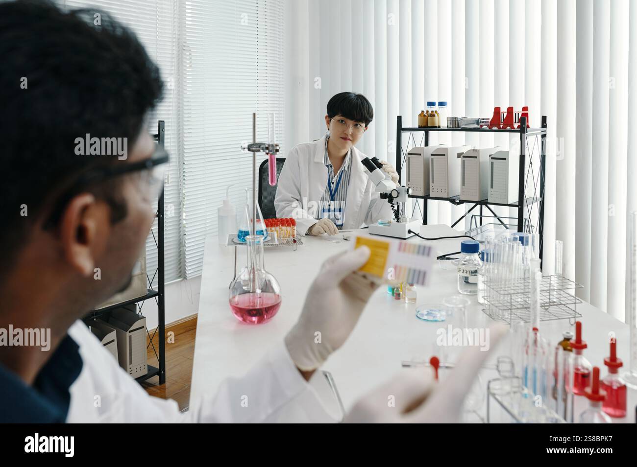 Researchers Analyzing Lab Samples in Scientific Laboratory Stock Photo