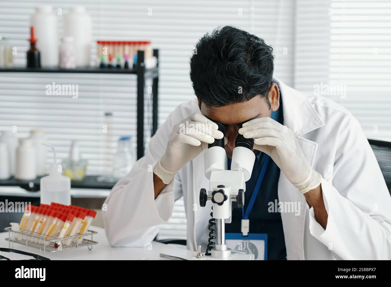 Scientist Examining Sample Through Microscope in Laboratory Stock Photo
