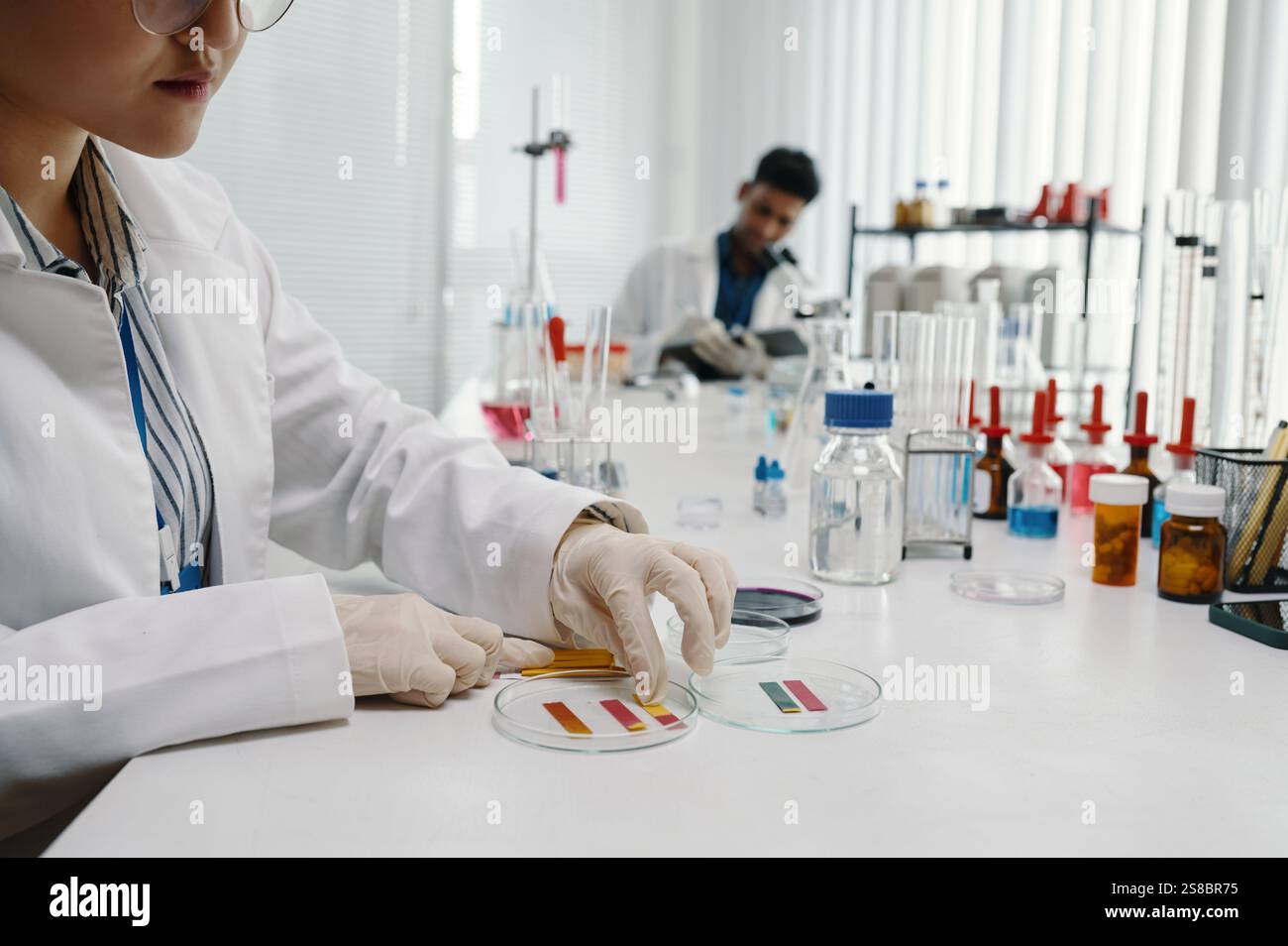 Conducting Laboratory Experiments with Scientific Equipment Stock Photo