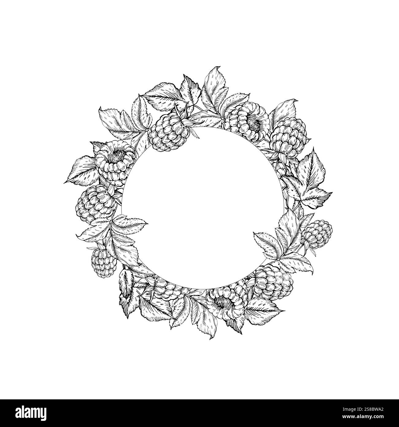 Raspberry vector black and white wreath hand drawn with ink Stock Vector