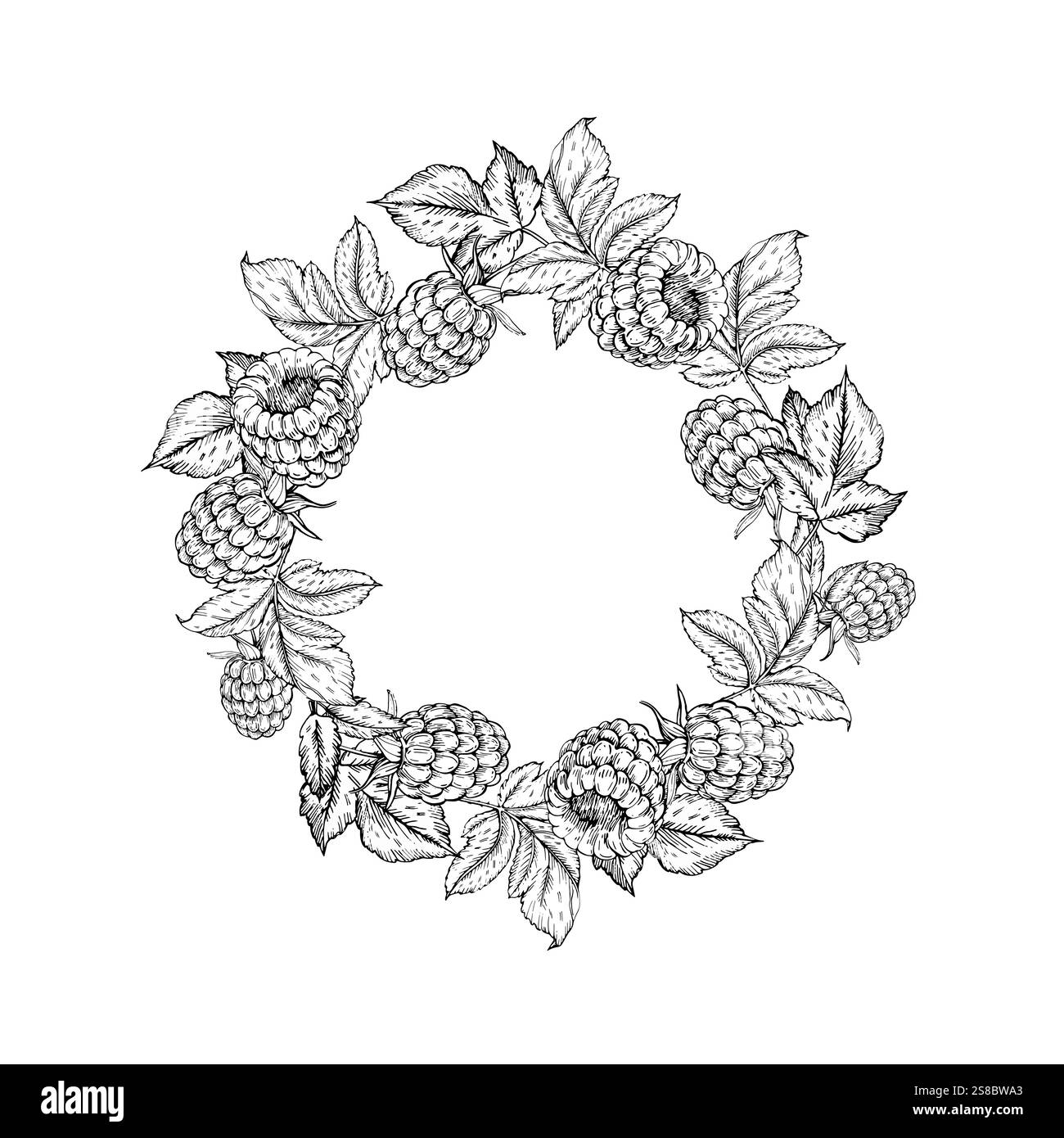 Raspberry vector black and white wreath hand drawn with ink Stock Vector