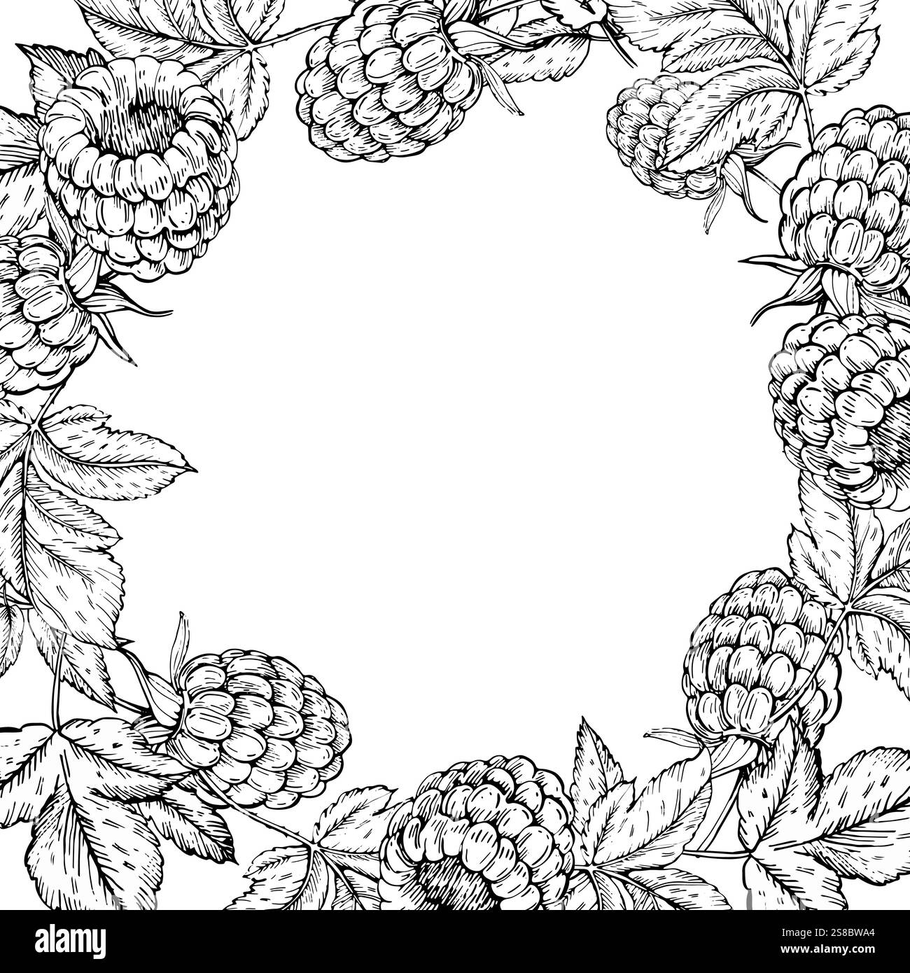 Raspberry vector black and white frame hand drawn with ink. Stock Vector