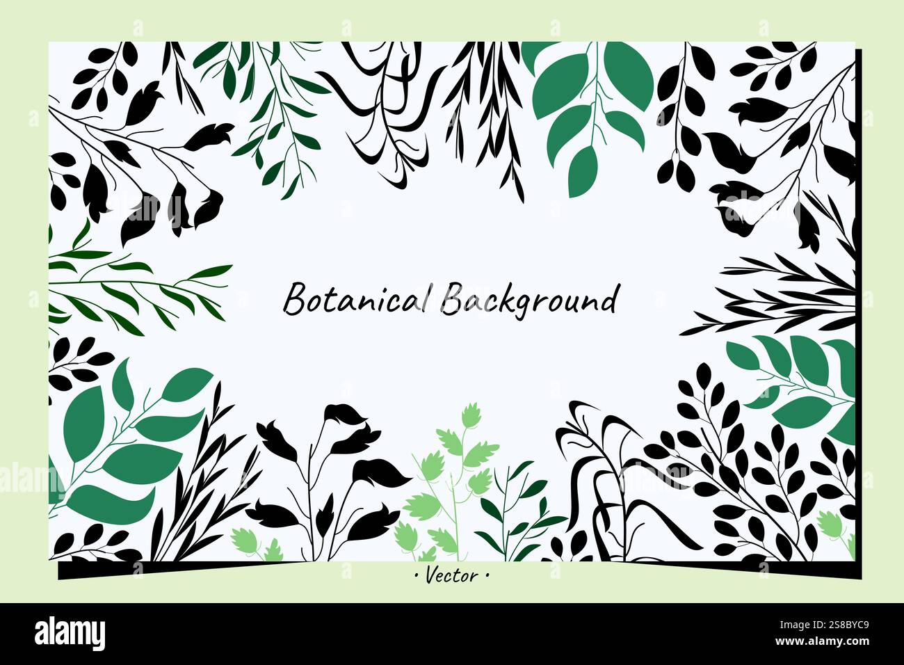 Botanical plant floral hand drawn elements background. Horizontal artwork vector design. Stock Vector