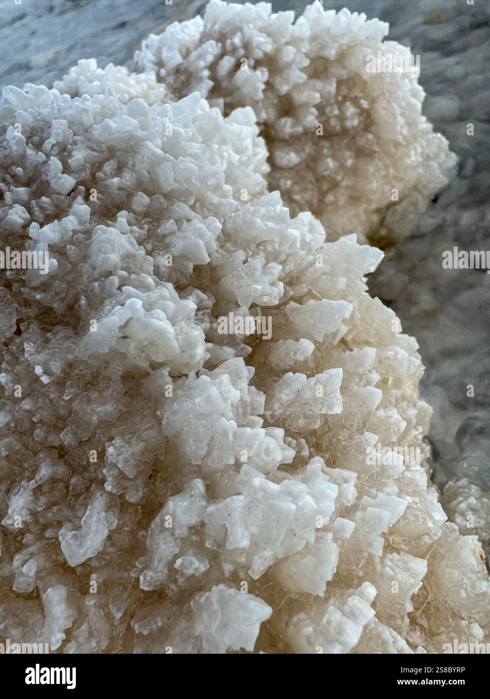 Detailed close-up of salt crystals forming naturally on rocky surfaces showcasing intricate structures. Stock Photo