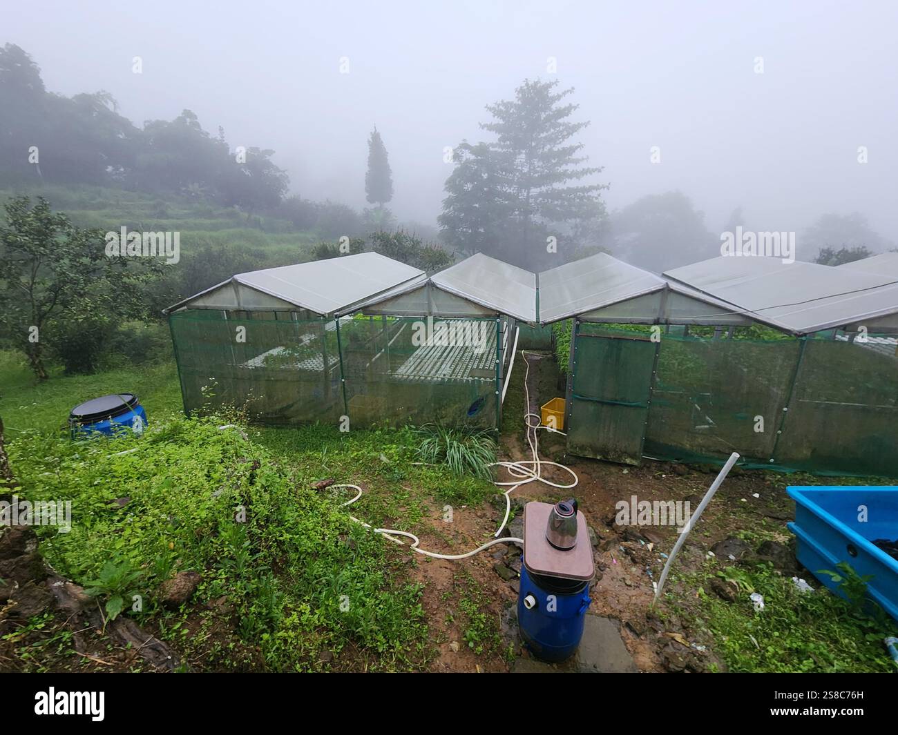 Foggy Weather - Smartphone Captured Stock Image