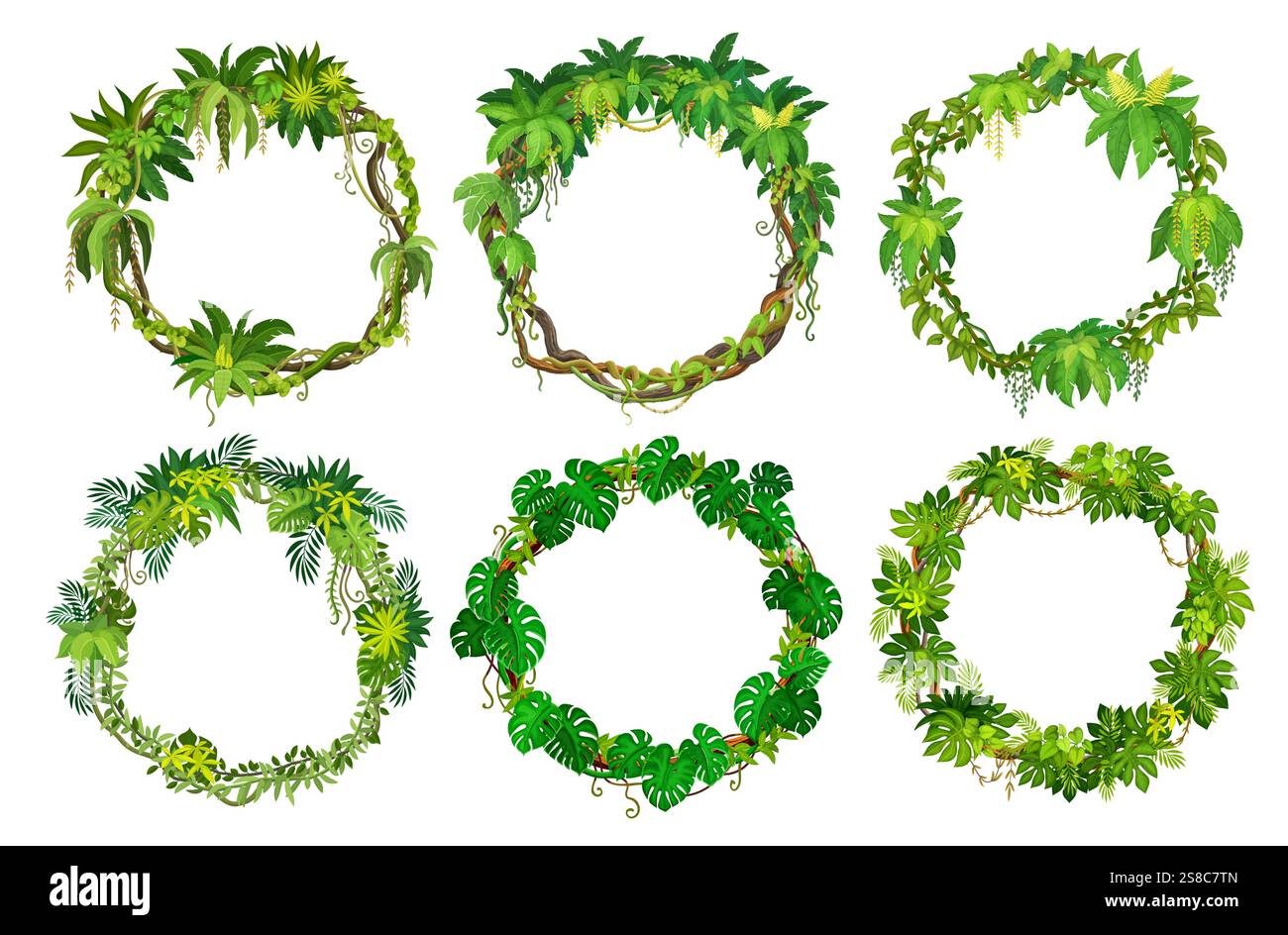 Round frames with tropical jungle forest liana vines. Vector Set of ...