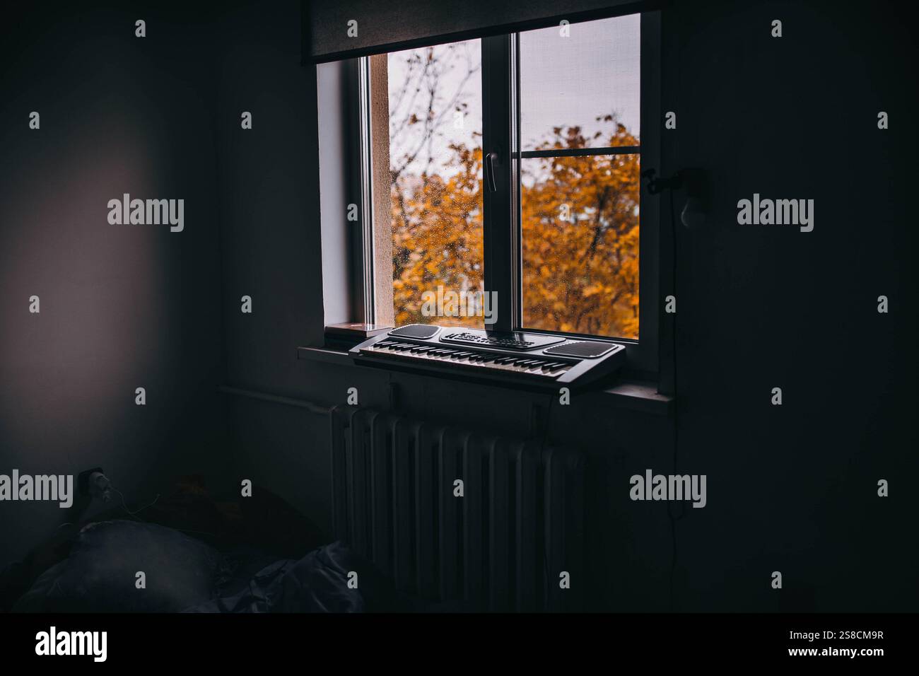 A dimly lit room with electronic synthesizer by a window overlooking autumn trees Stock Photo