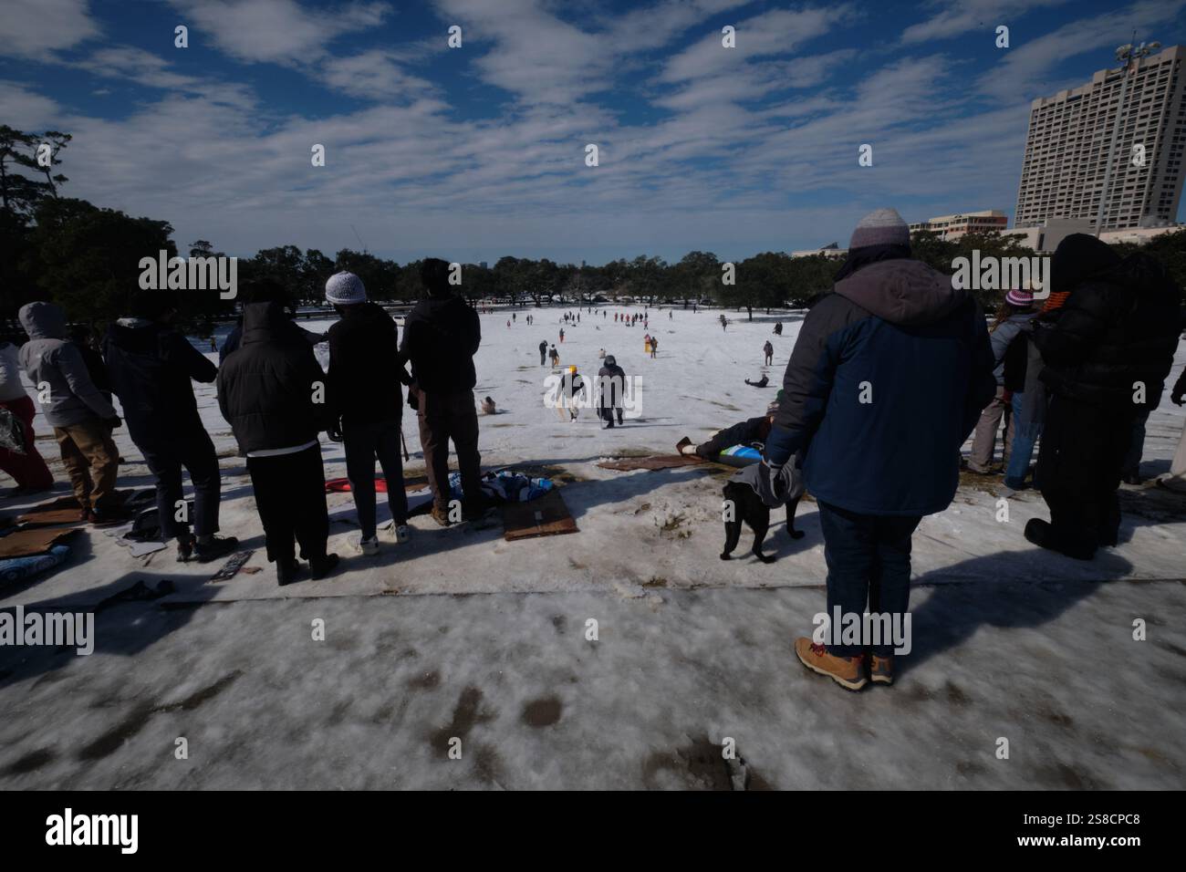 January 21, 2025, Houston, Texas, USA Residents play in the snow at