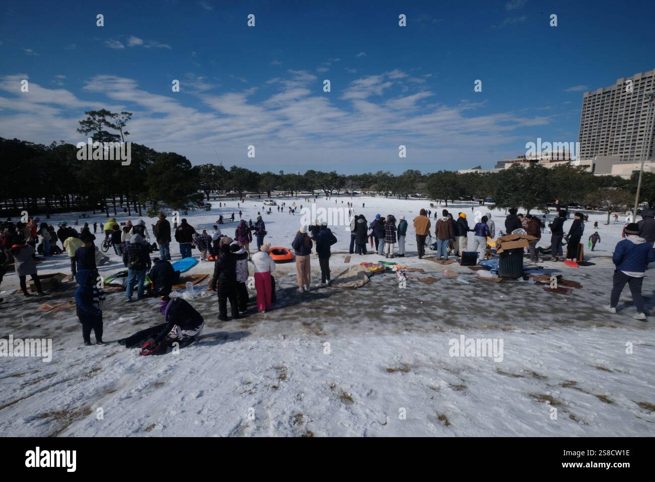 January 21, 2025, Houston, Texas, USA Residents play in the snow at