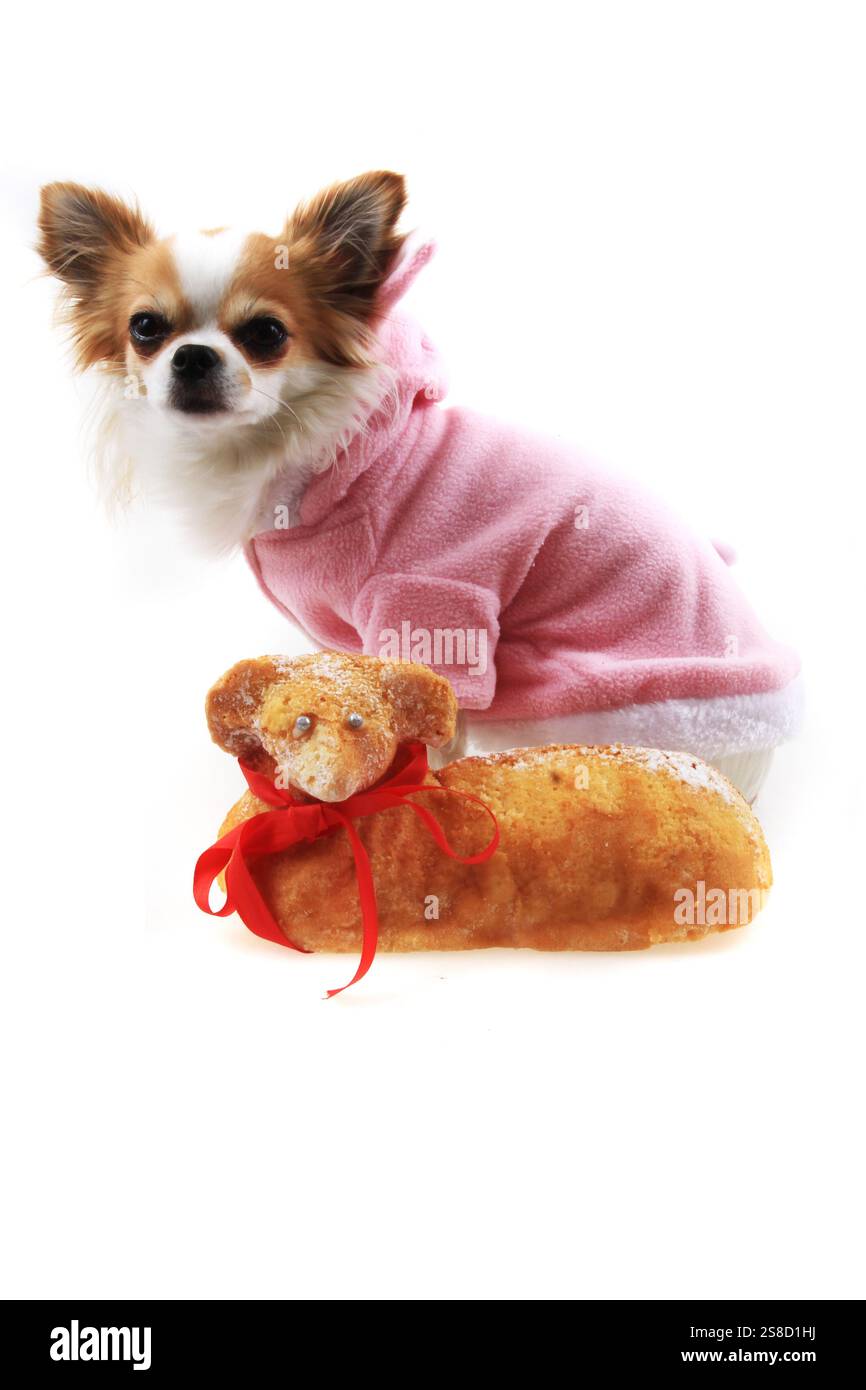 traditional czech easter lamb bread isolated on the white background Stock Photo
