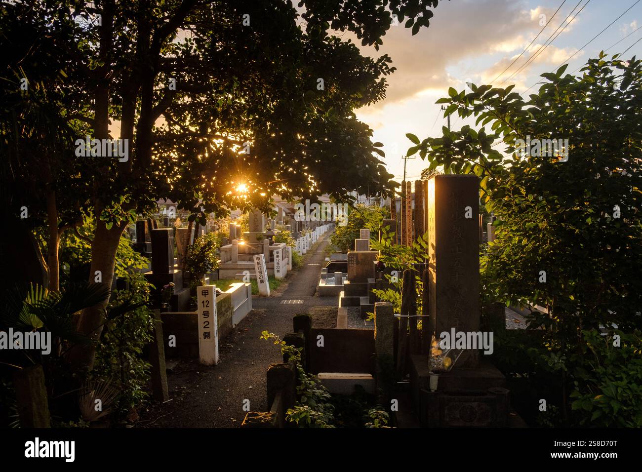 Monuments by a pathway in Yanaka Cemetery, Tokyo,  looking through trees to the setting sun Stock Photo