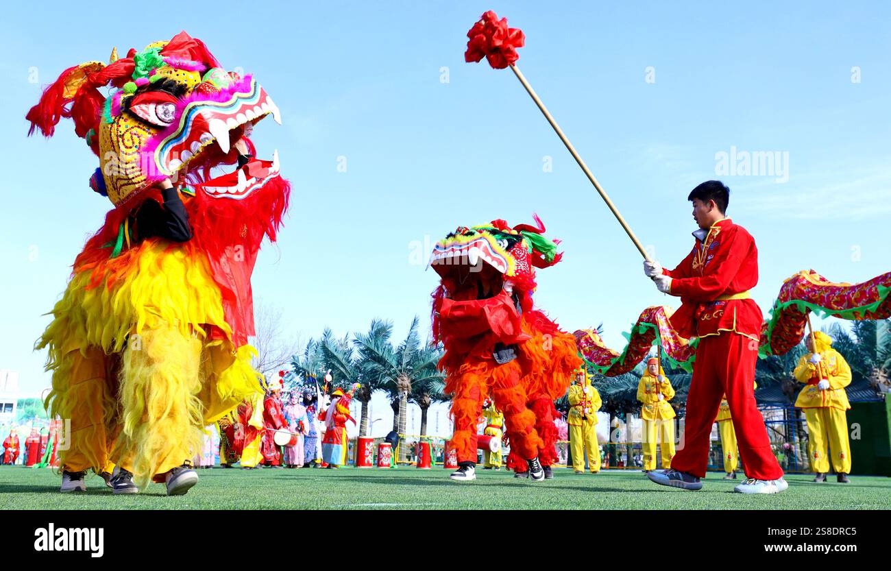 ZHANGYE, CHINA JANUARY 22, 2025 Artists perform a lion dance to