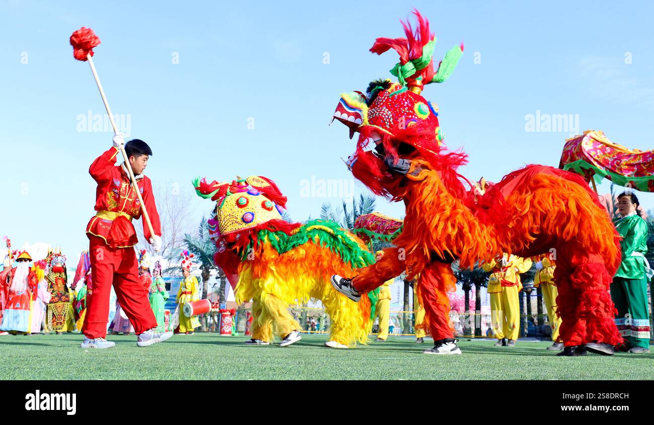 ZHANGYE, CHINA JANUARY 22, 2025 Artists perform a lion dance to