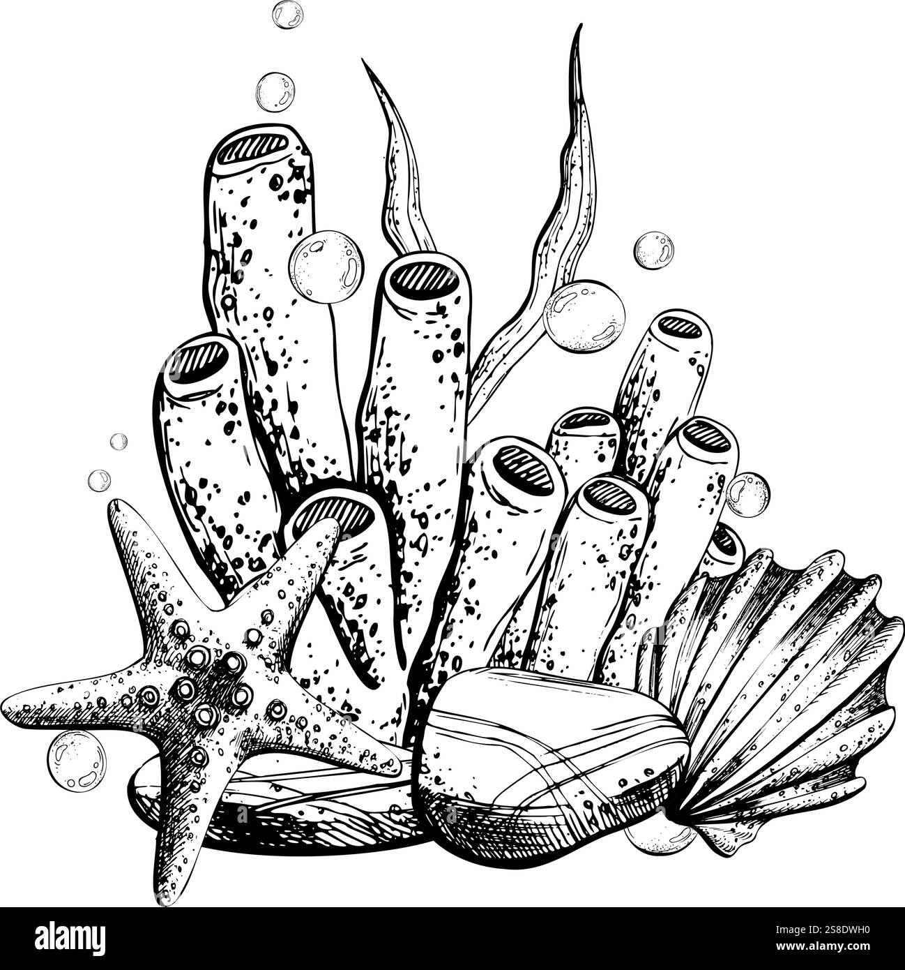 Seashell, starfish, sea sponge, algae, pebbles and bubbles. Hand drawn ...