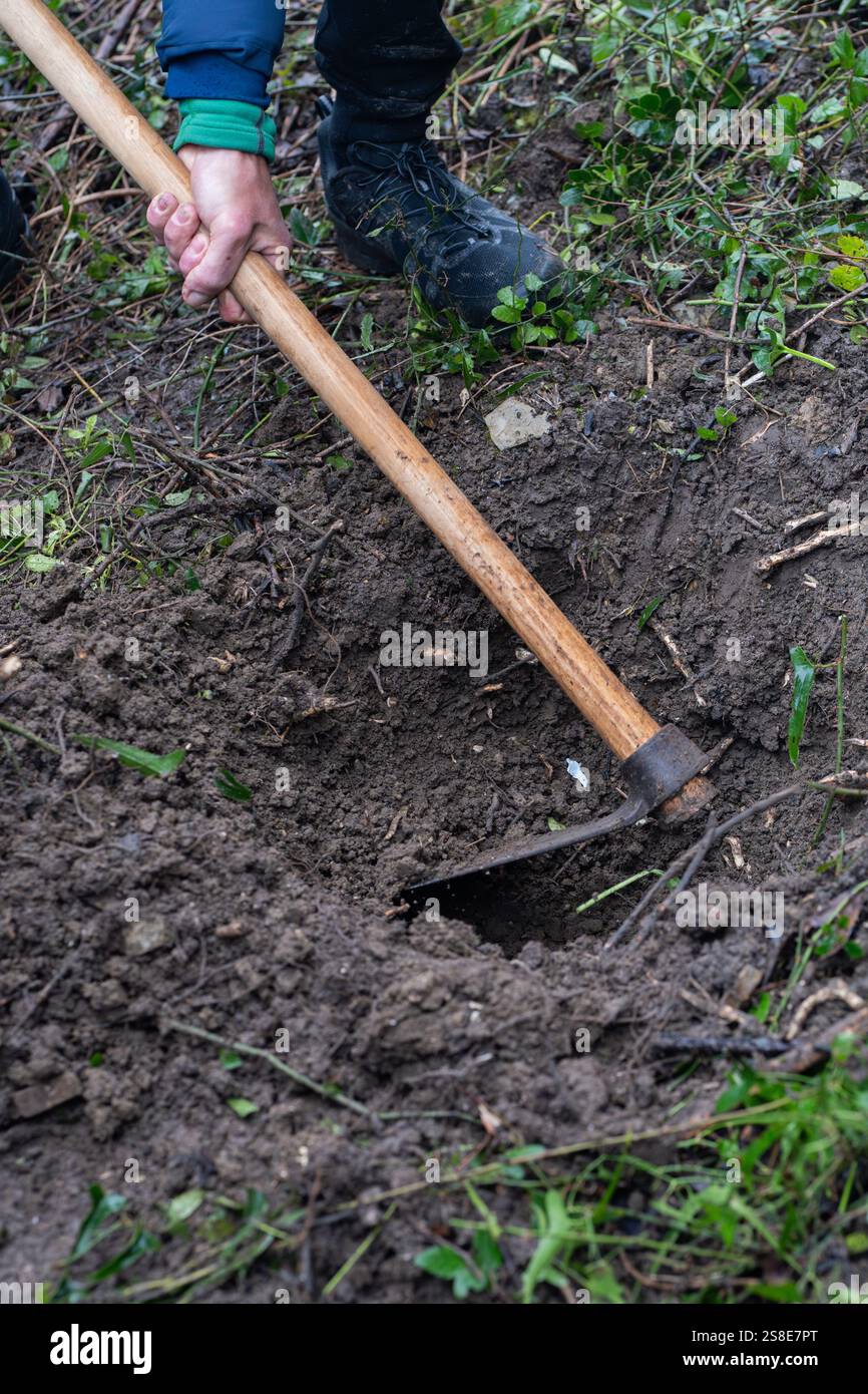 Cropped unrecognizable person using a spade to dig into wet soil ...