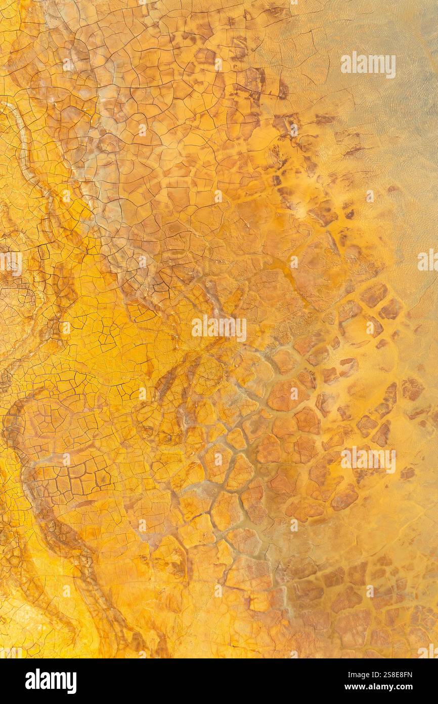 Mud Texture Patterns This image captures the detailed texture of golden mud, showcasing ...