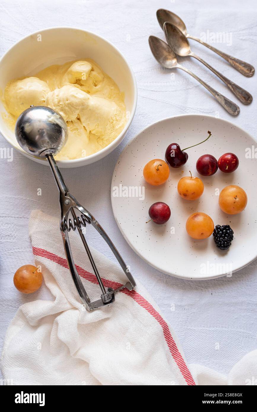 Top view of a refreshing dessert layout with a bowl of creamy vanilla ice cream, a plate of vibrant cherries, apricots, and a blackberry laid on a whi Stock Photo