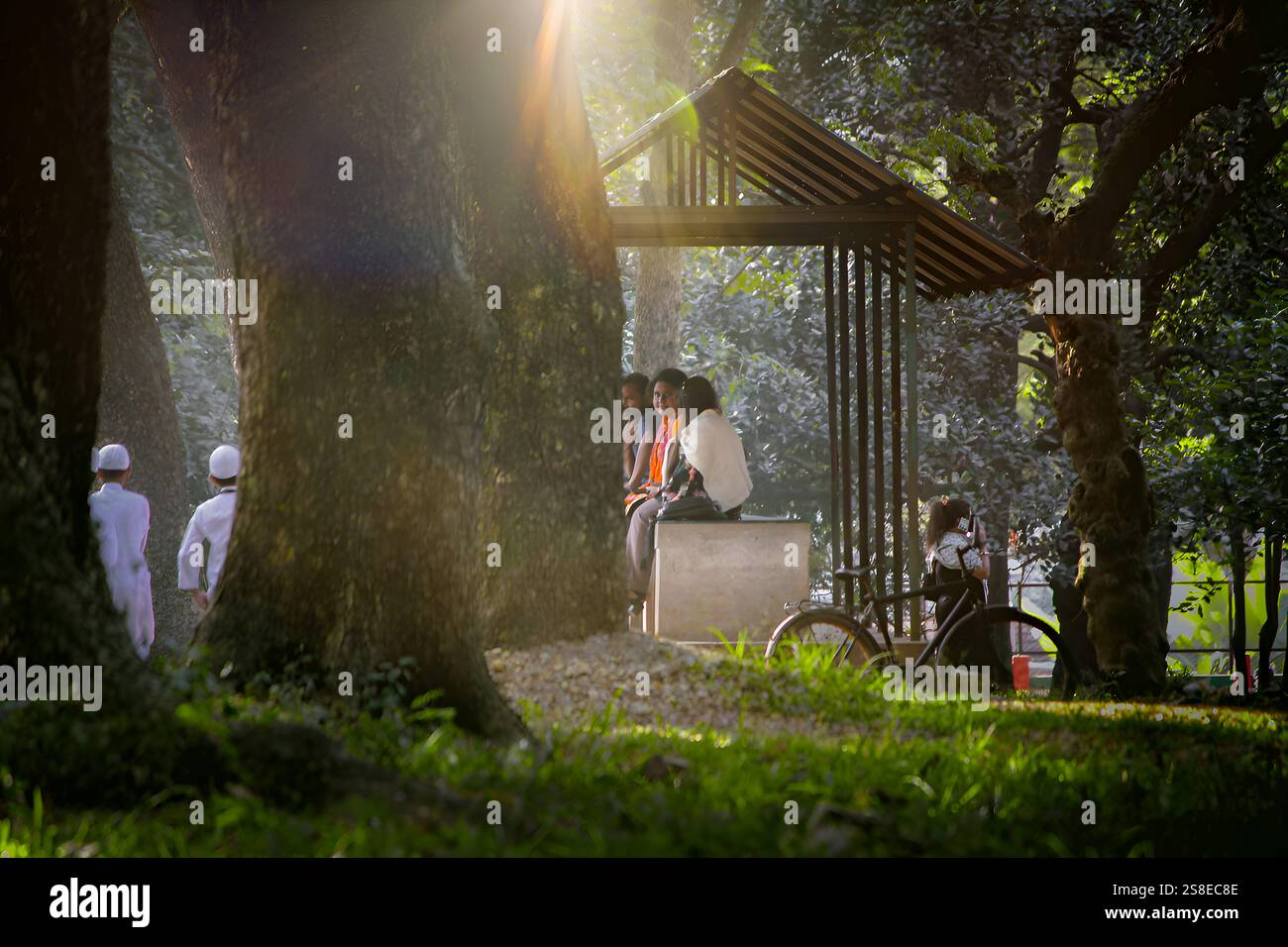 A beautiful morning in a Dhaka park, bathed in soft sunlight, highlighting the lush greenery and serene atmosphere, perfect for relaxation. Stock Photo