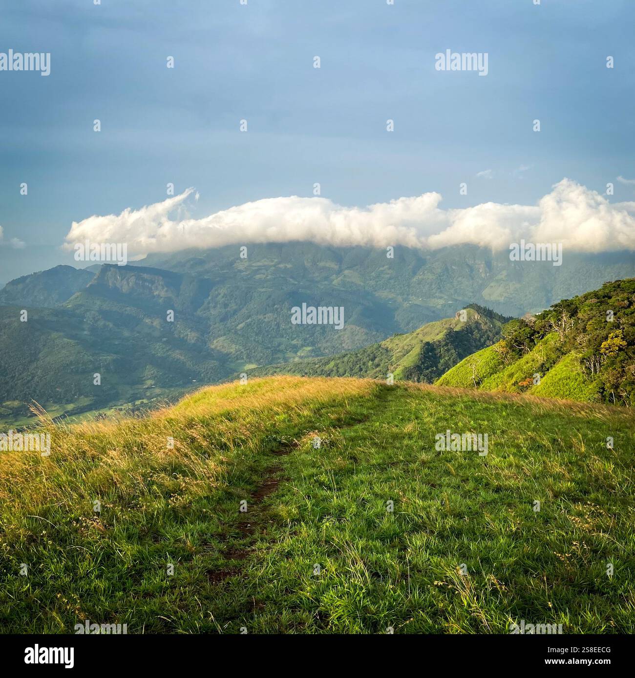 Nature wallpapers bring the serene beauty of the outdoors into your digital space, offering a calming escape from the hustle of daily life. Whether it - Smartphone Captured Stock Image