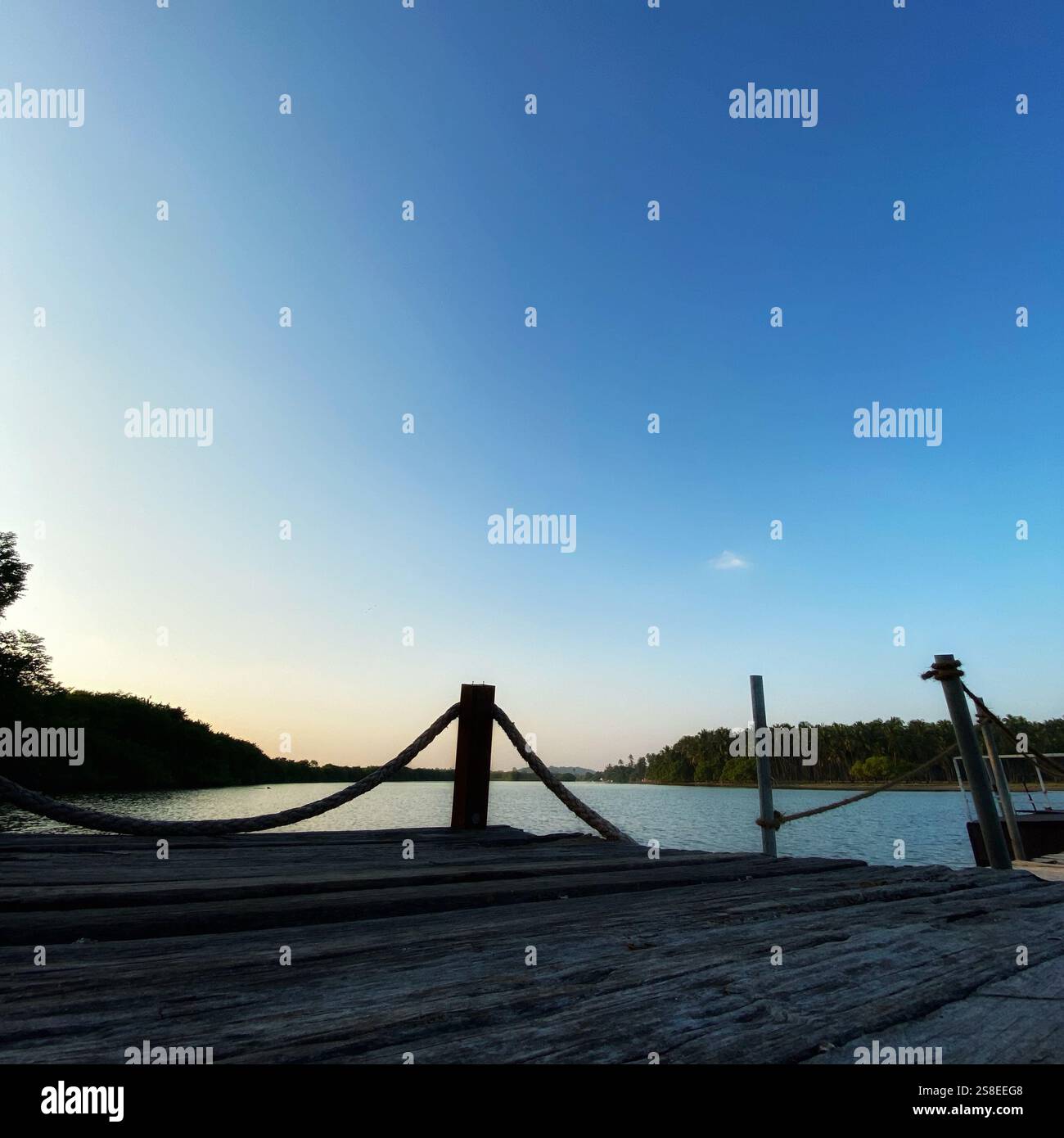 Nature wallpapers bring the serene beauty of the outdoors into your digital space, offering a calming escape from the hustle of daily life. Whether it - Smartphone Captured Stock Image