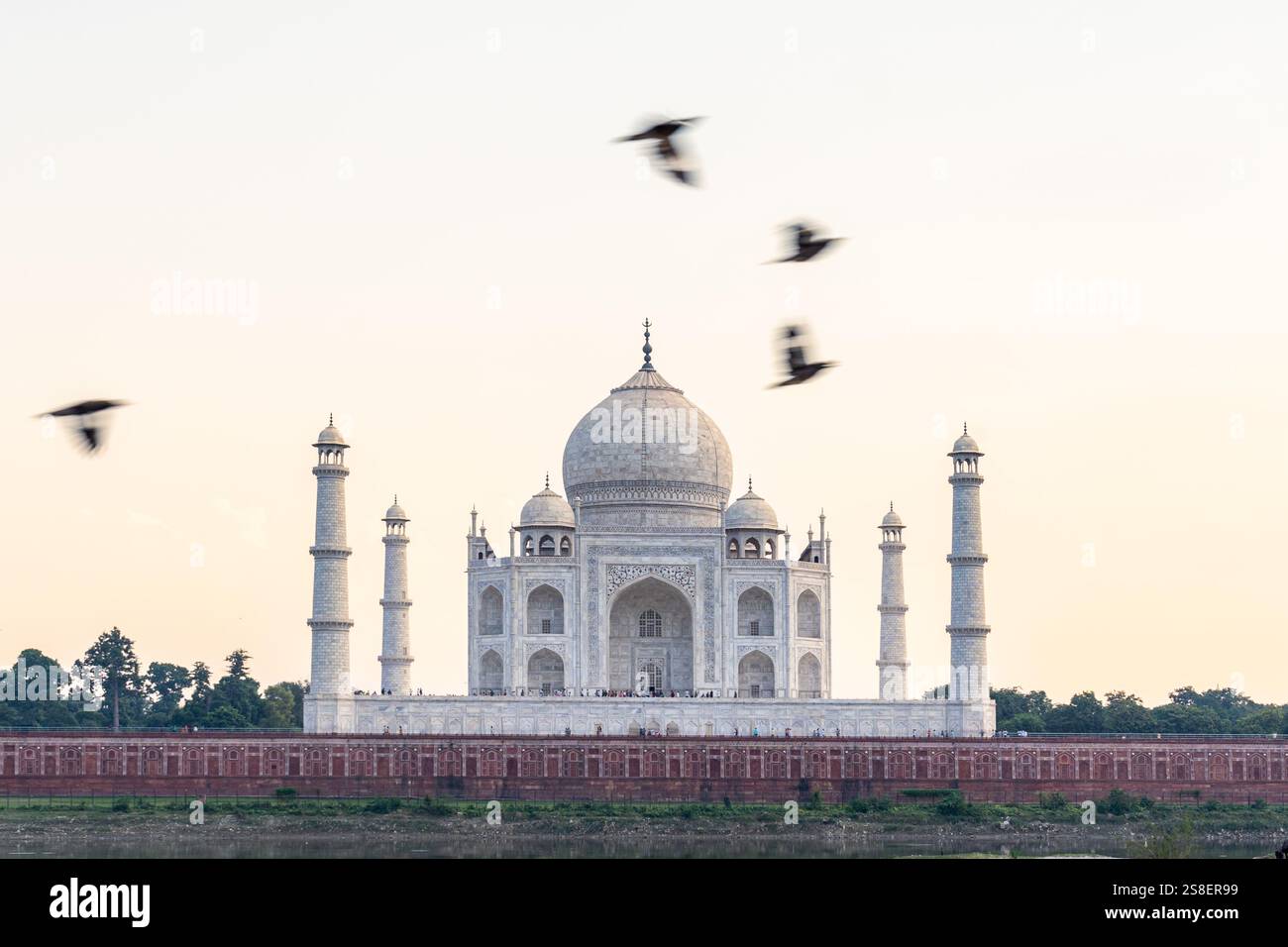 Mahu Mahal India. Uttar Pradesh state. Agra. Taj Mahal. White marble mausoleum ...