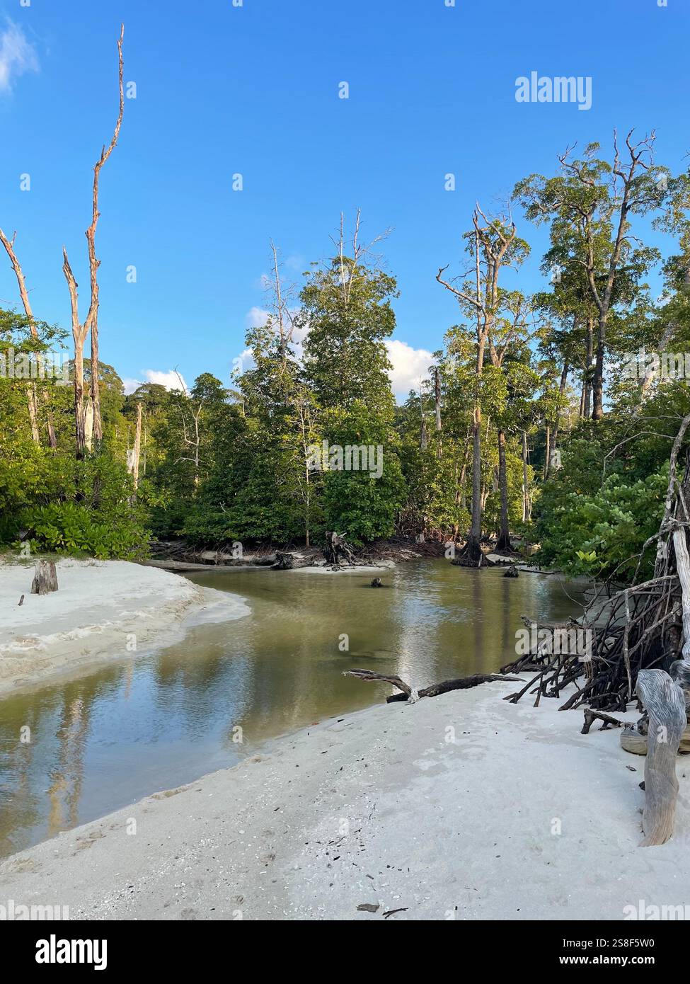 Ocean Blues meet Sky blue and Earthy Hues - Smartphone Captured Stock Image