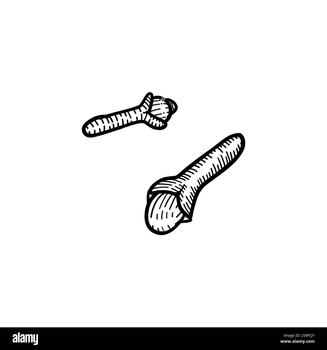 Detailed black and white hand-drawn illustration of a clove spice seed ...