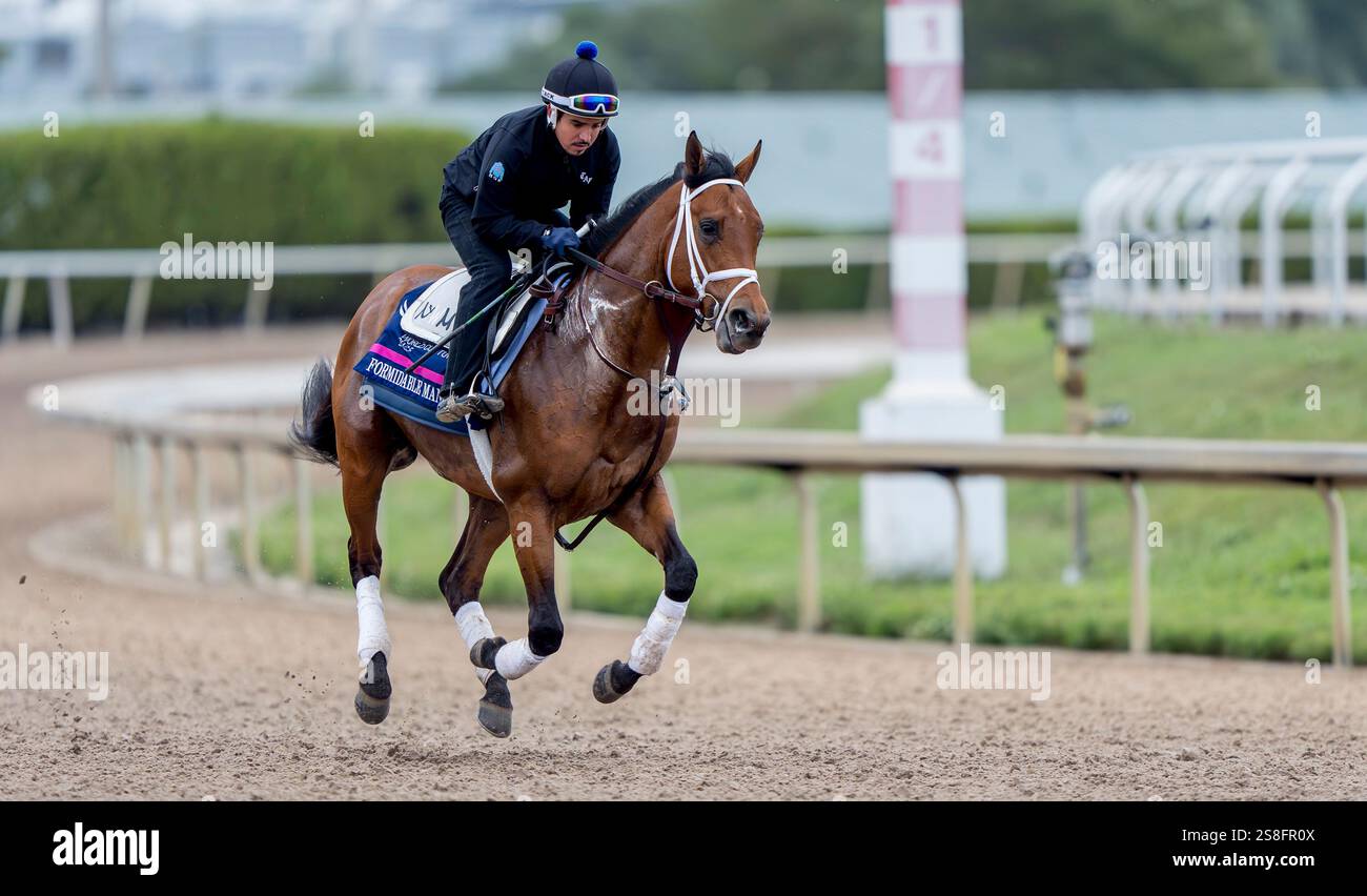 January 22, 2025, Hallandale Beach, Fl, USA Formidable Man exercises