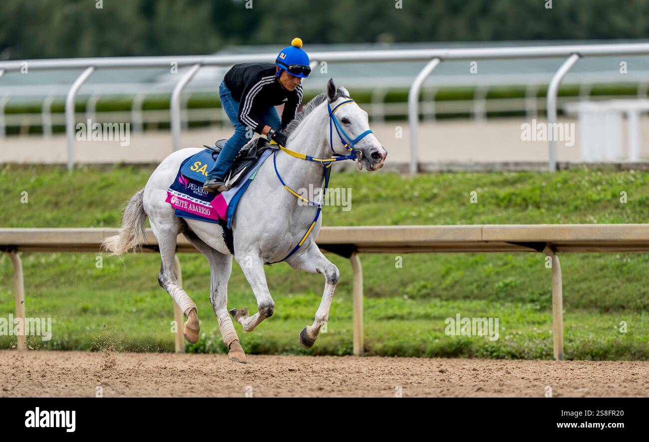 January 22, 2025, Hallandale Beach, Fl, USA White Abarrio exercises