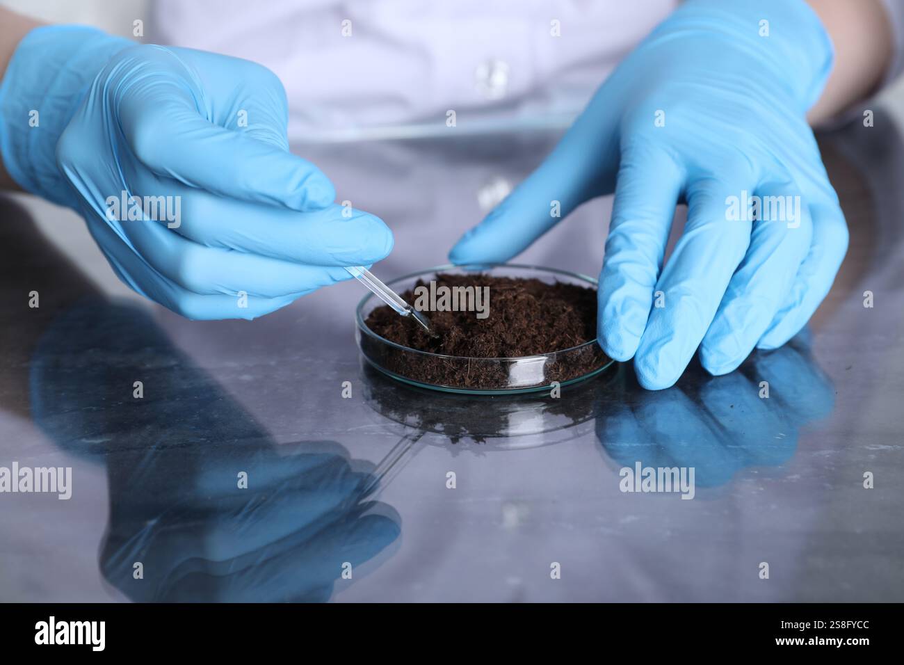 Laboratory testing. Scientist working with soil sample at table ...