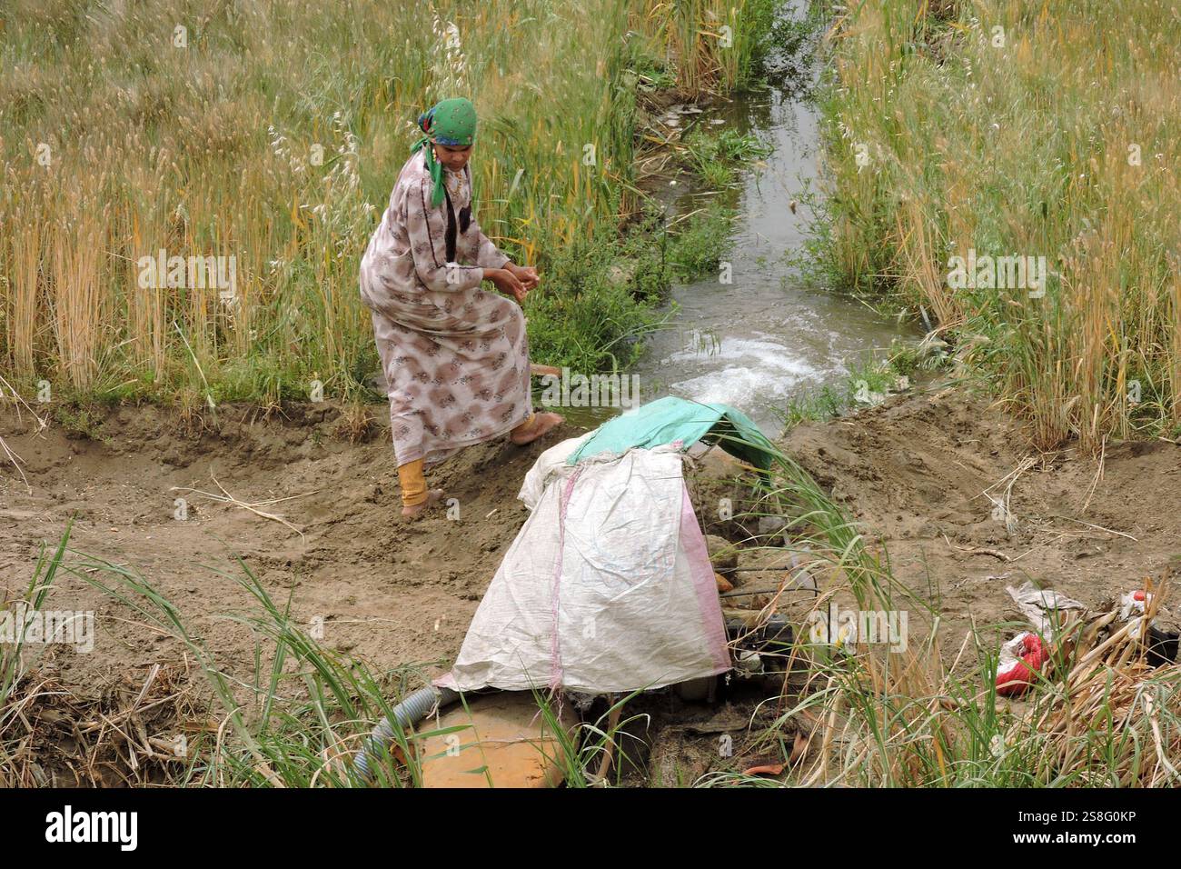 Nile river egypt irrigation hi-res stock photography and images - Alamy