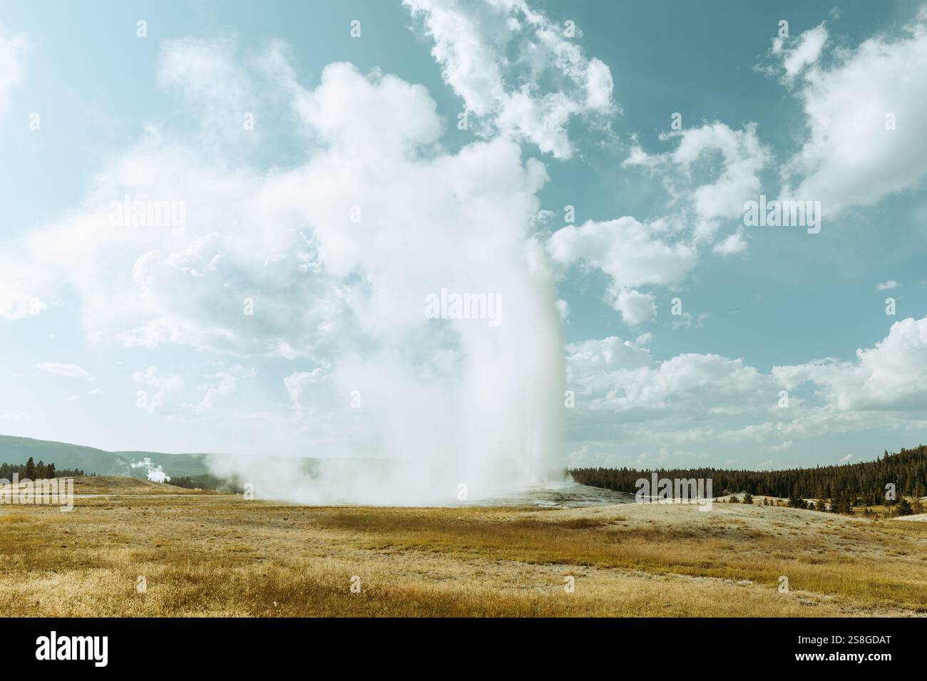 Old Faithful Geyser Eruption Yellowstone National Park Wyoming Stock ...