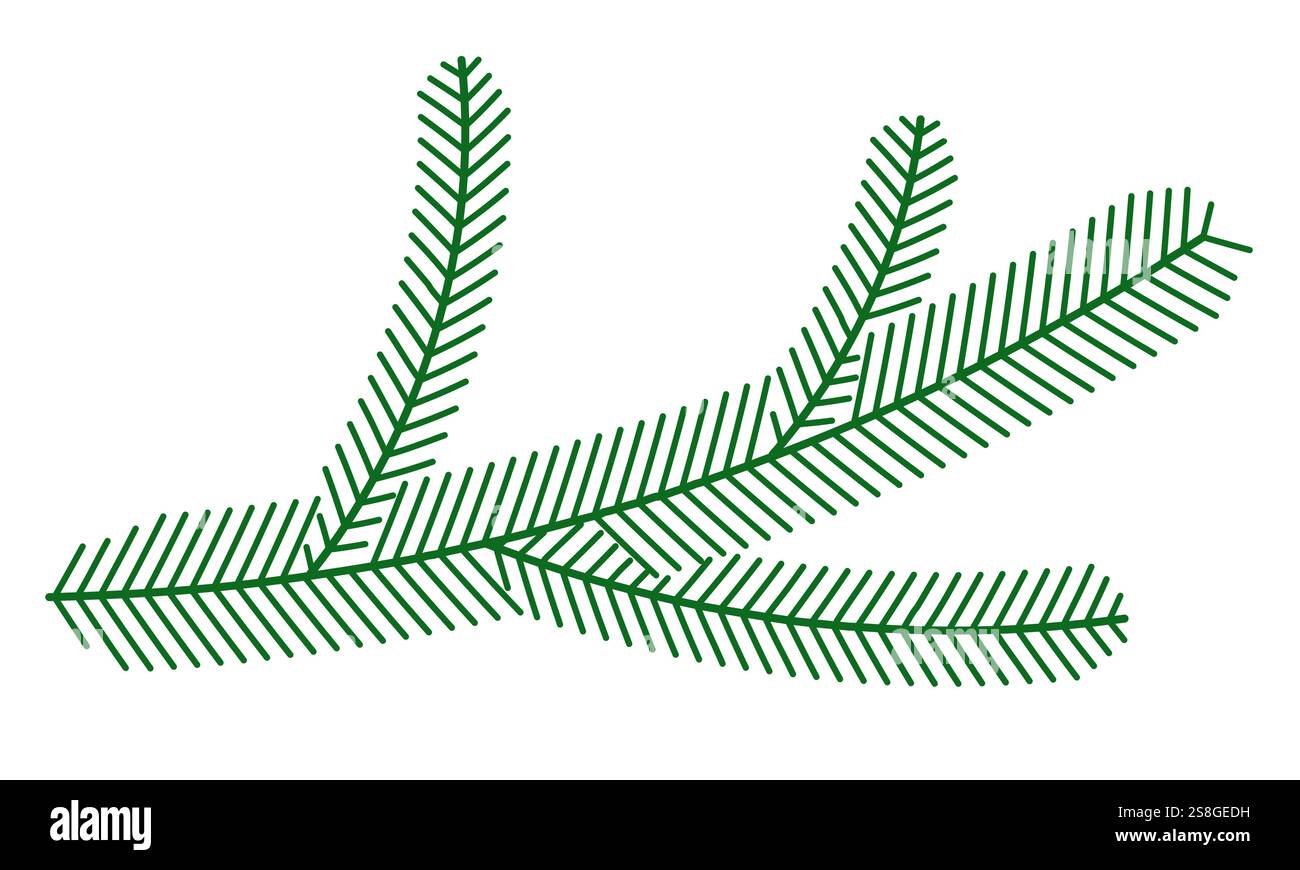 Spruce branch Stock Vector Images - Alamy