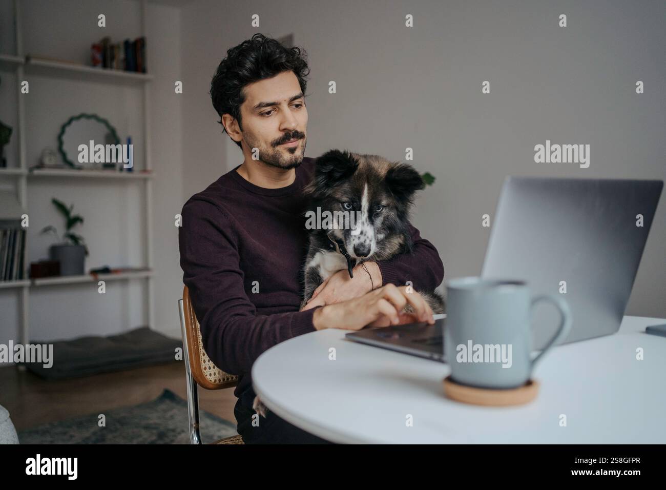Young handsome middle eastern looking man using computer and holding cute dog in lap while working. Stock Photo