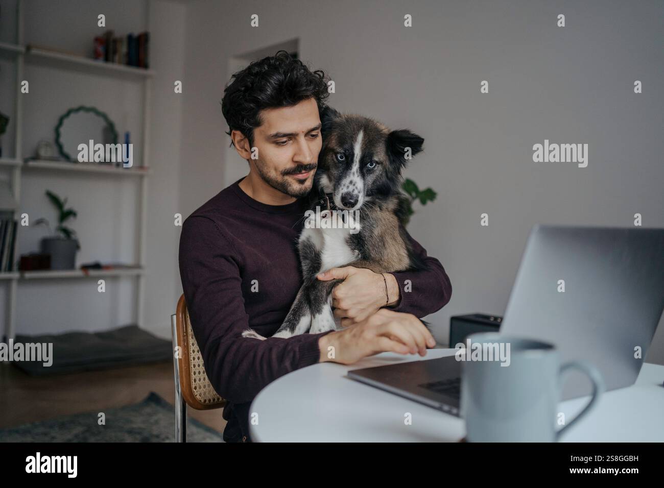 Young handsome middle eastern looking man using computer and holding cute dog in lap while working. Stock Photo