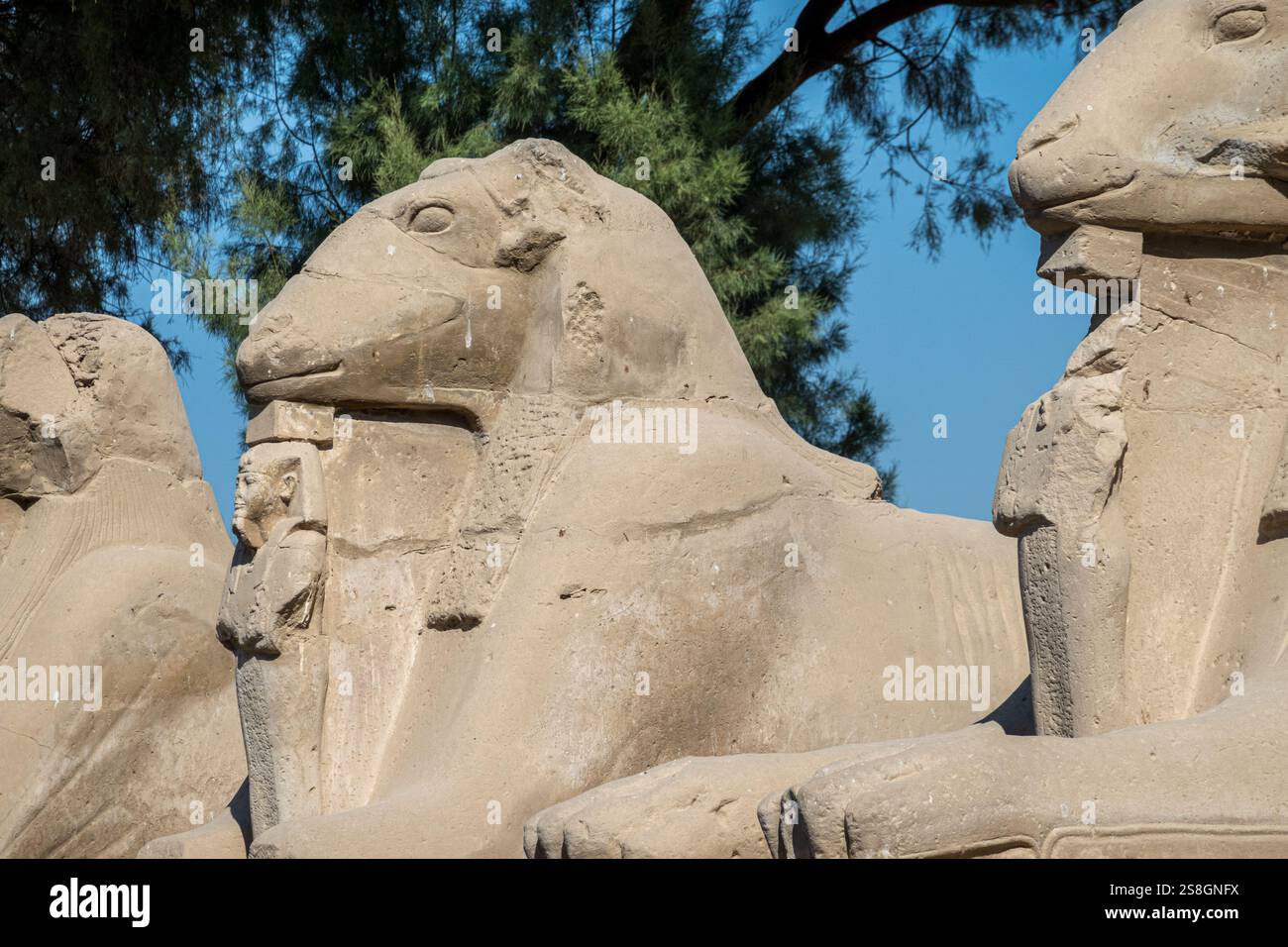 Ancient ram-headed sphinx statues stand majestically under a clear blue ...