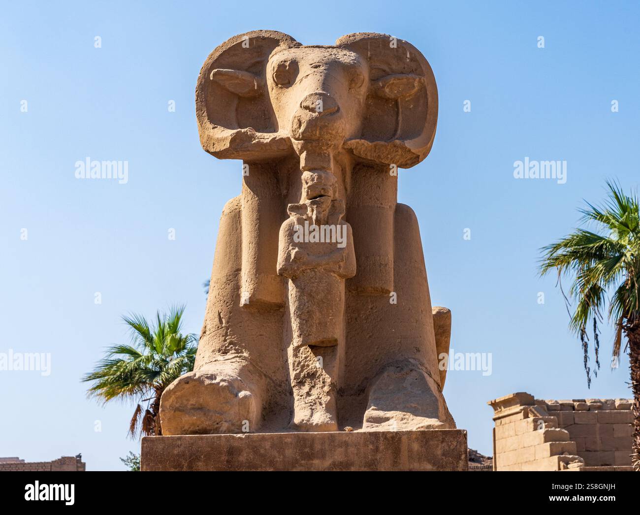 Ancient ram-headed sphinx statues stand majestically under a clear blue ...