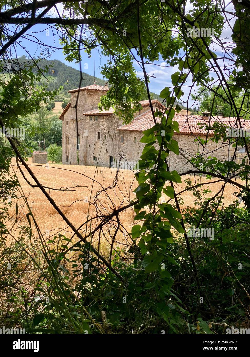 Traditional Manor House and Wheat Field Seen through the Trees in Navarre, Spain - Smartphone Captured Stock Image