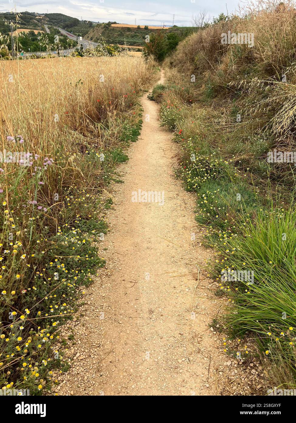 Path Next to A Field with Highway in the Distance on the Camino Frances, Navarre, Spain - Smartphone Captured Stock Image